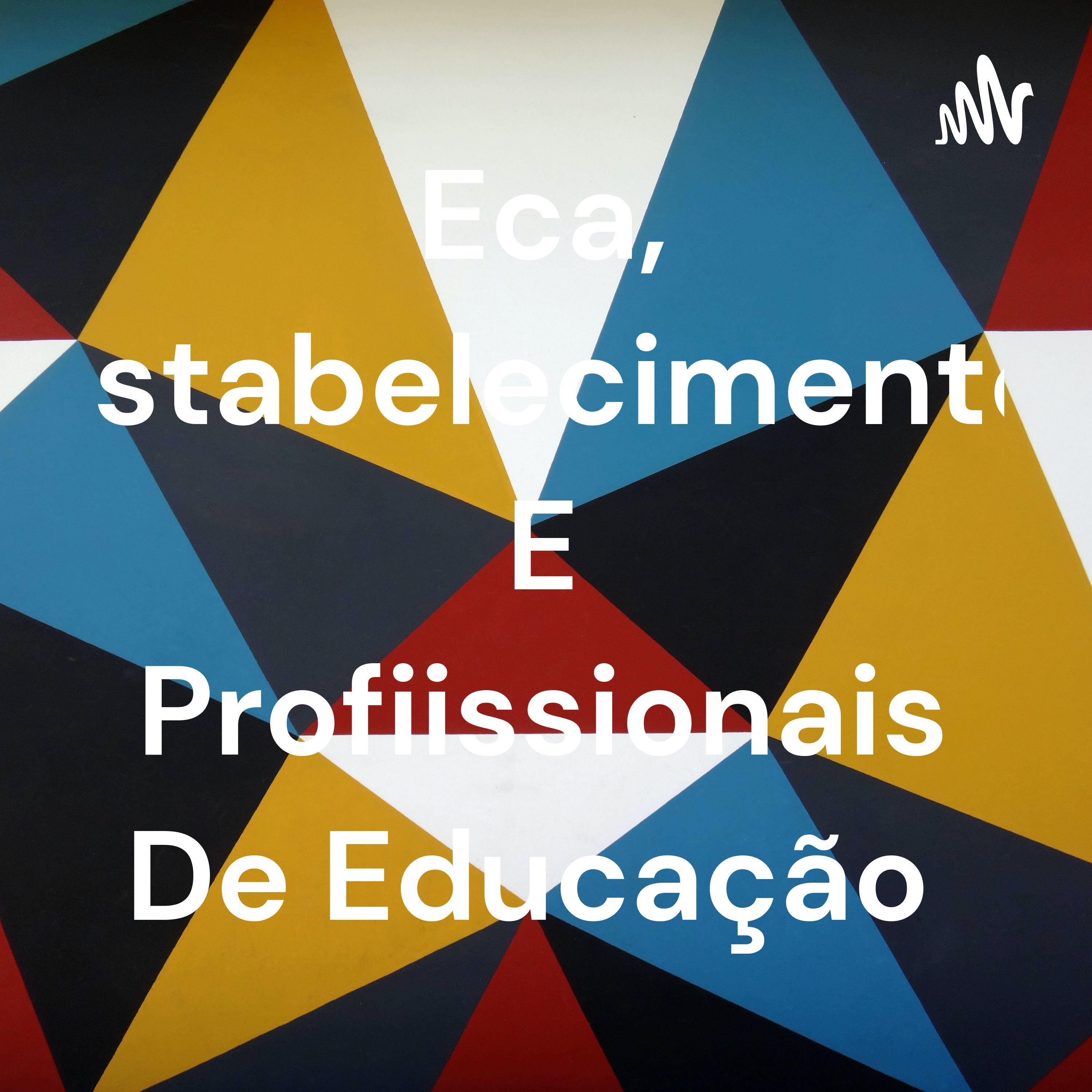 Eca, Estabelecimento E Profiissionais De Educação
