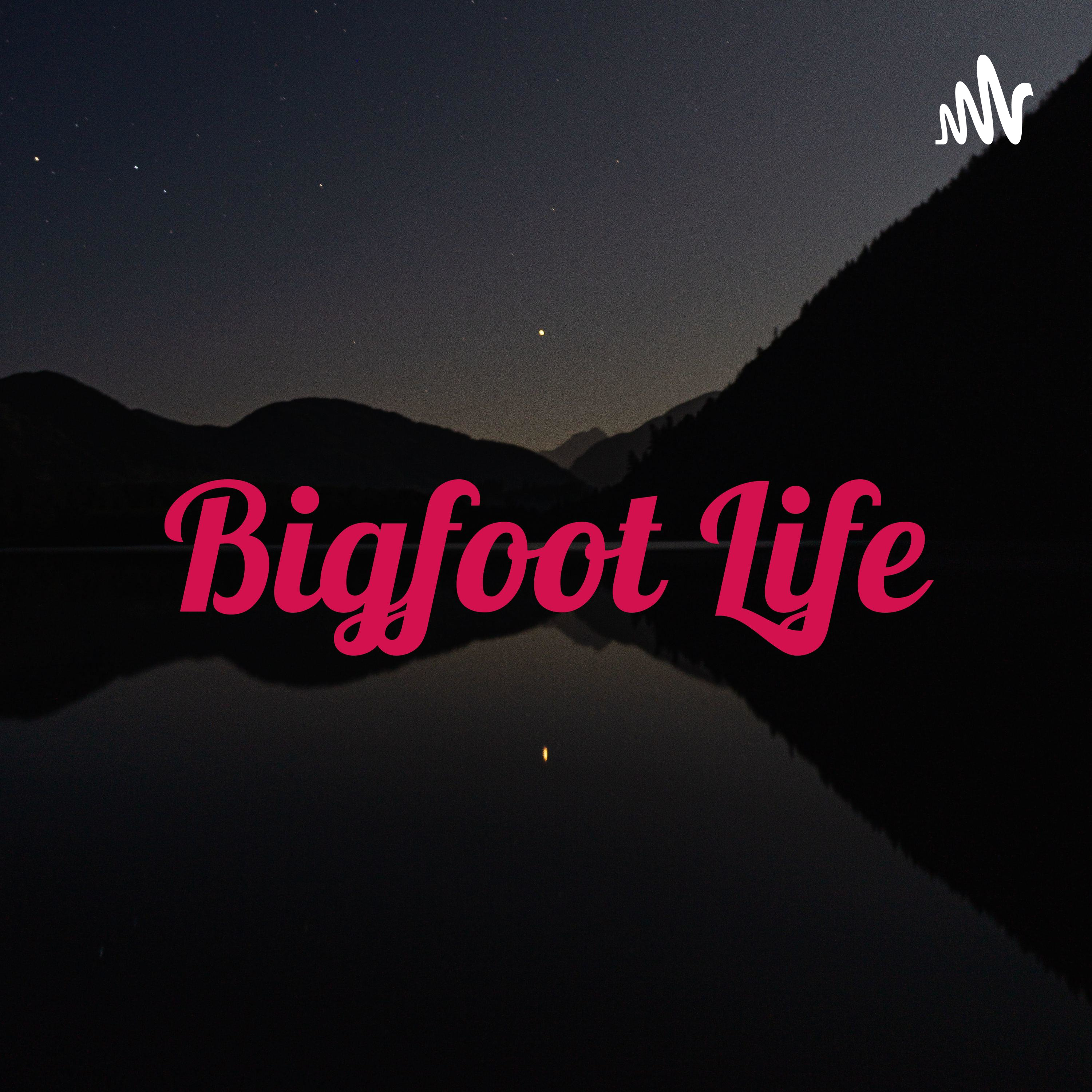  Bigfoot Life