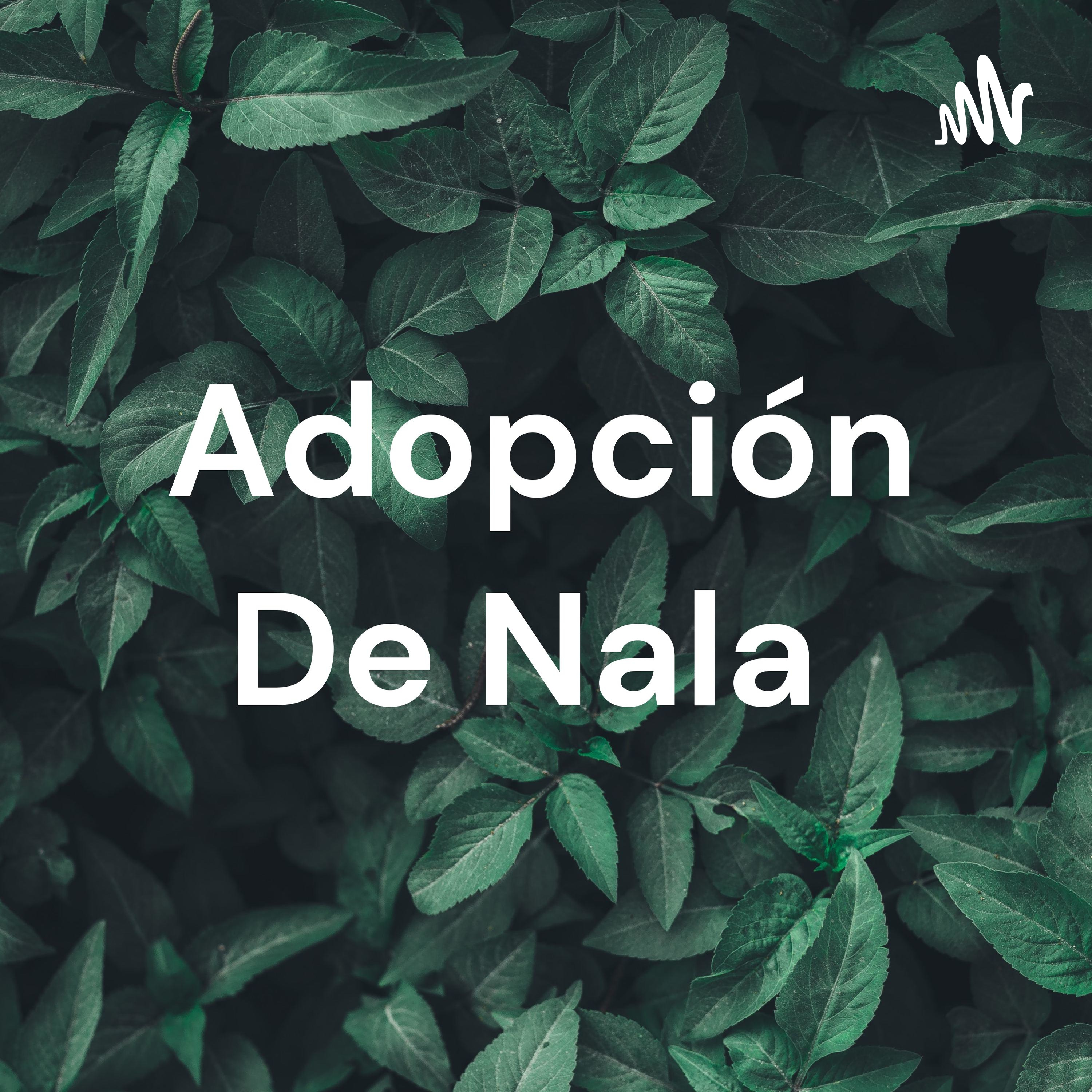 Adopción De Nala podcast artwork