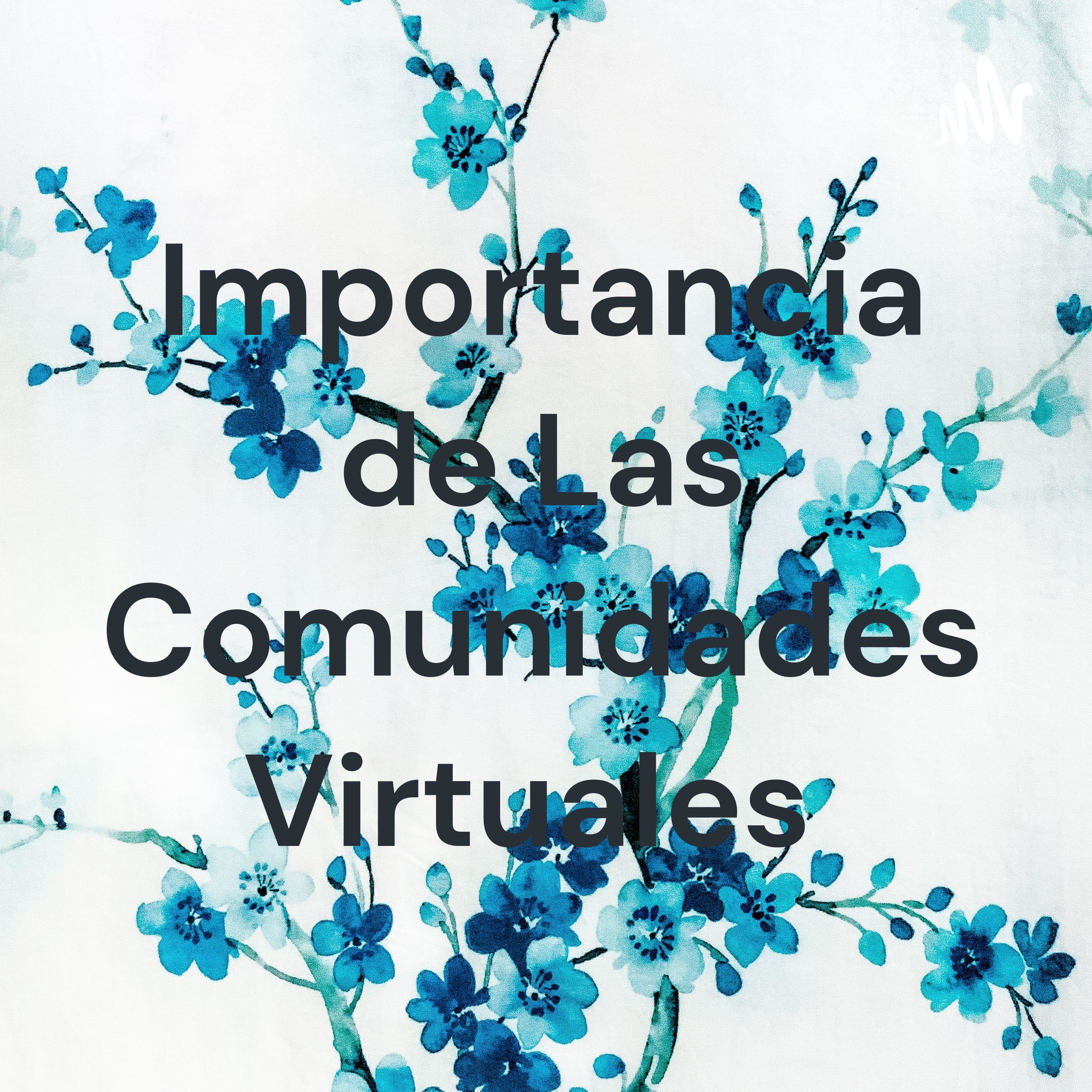 Importancia de Las Comunidades Virtuales 