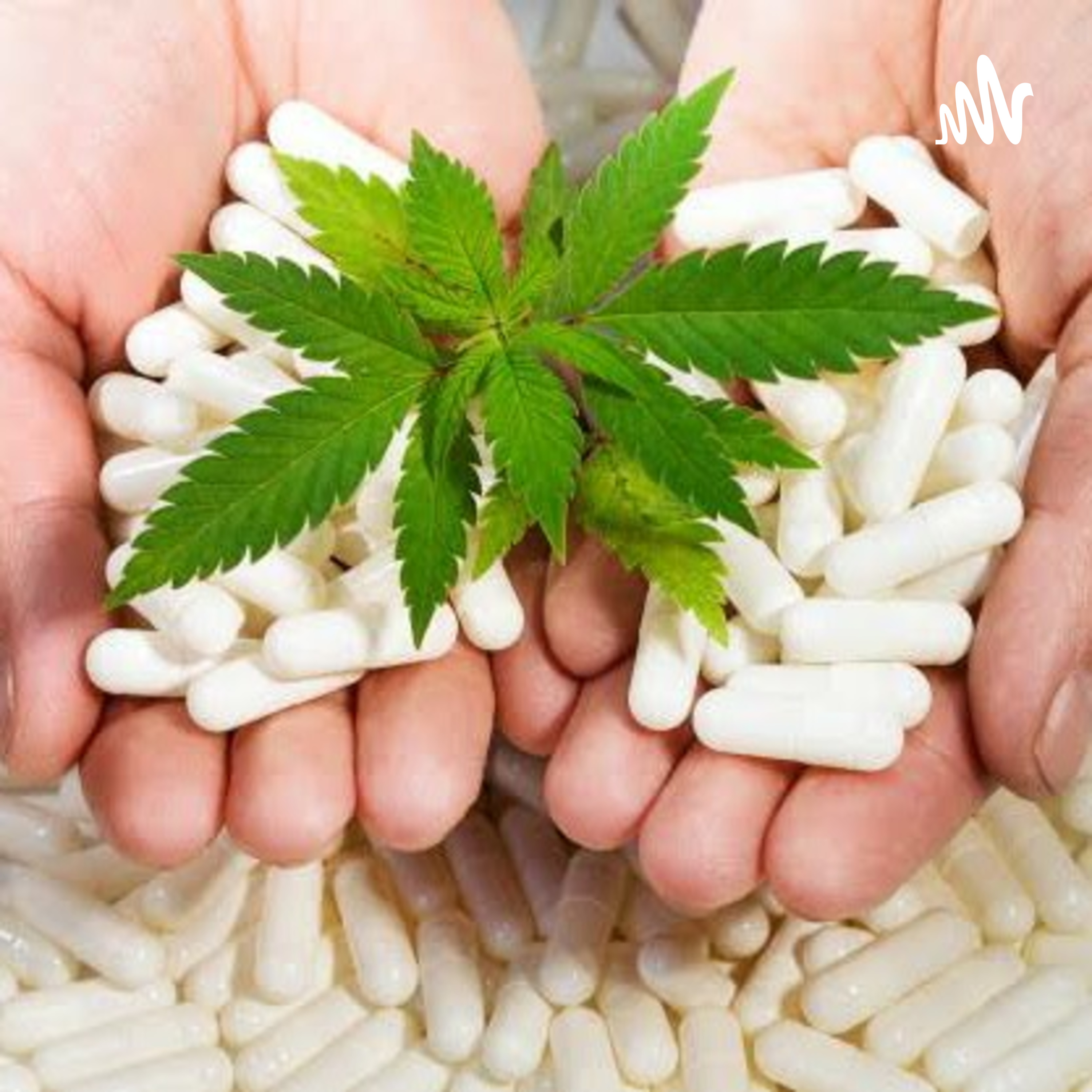 Legalización De La Marihuna