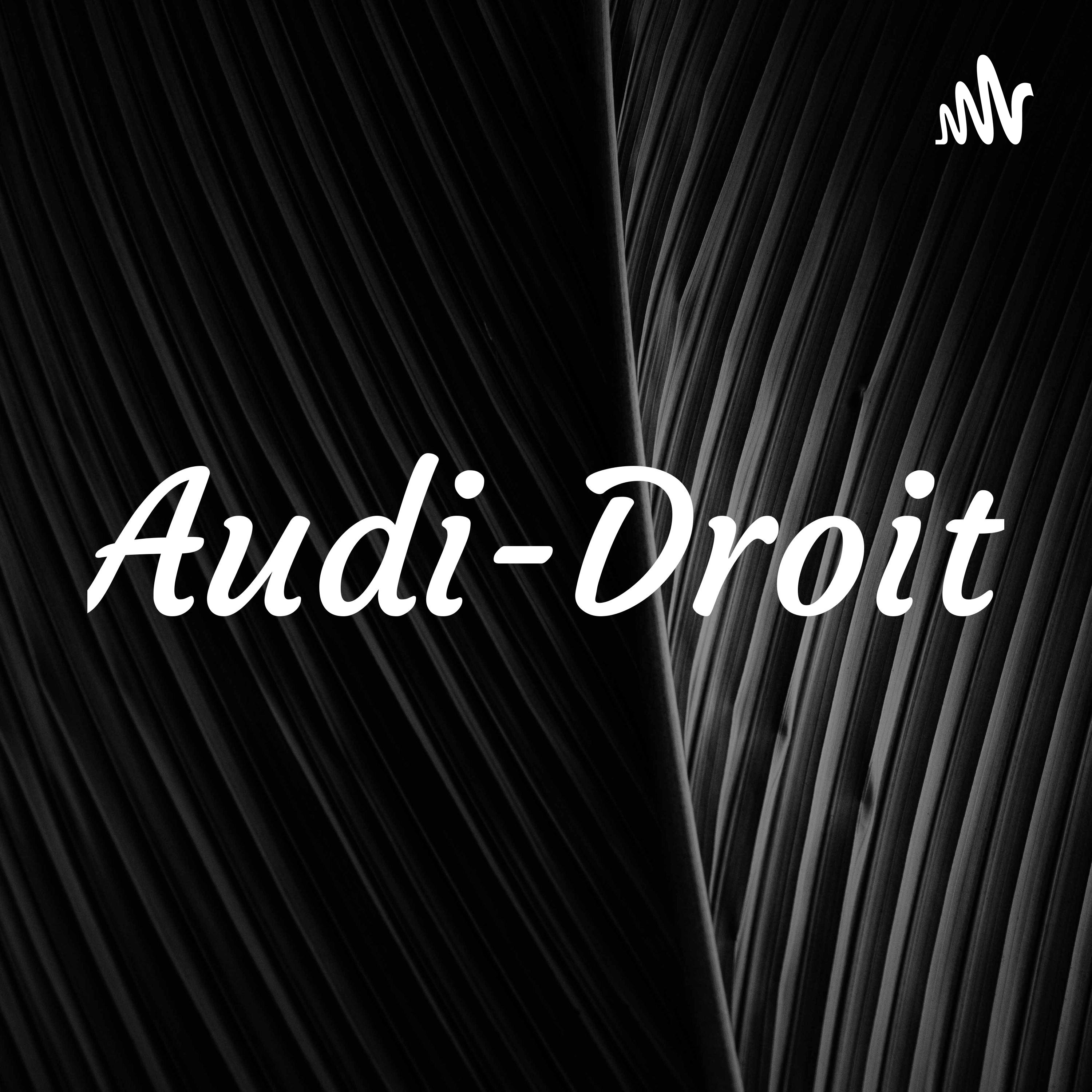 AudiDroit podcast artwork