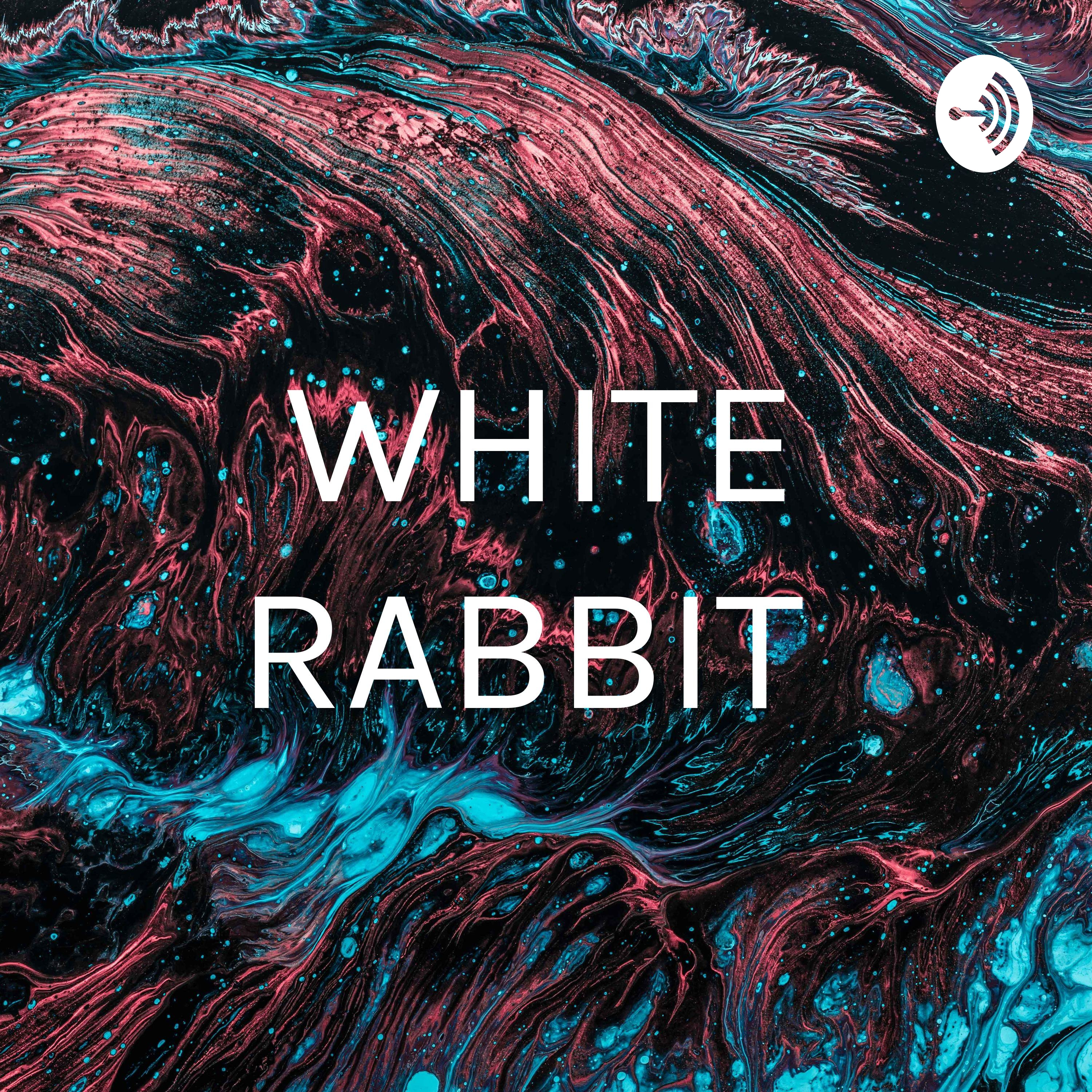 WHITE RABBIT 