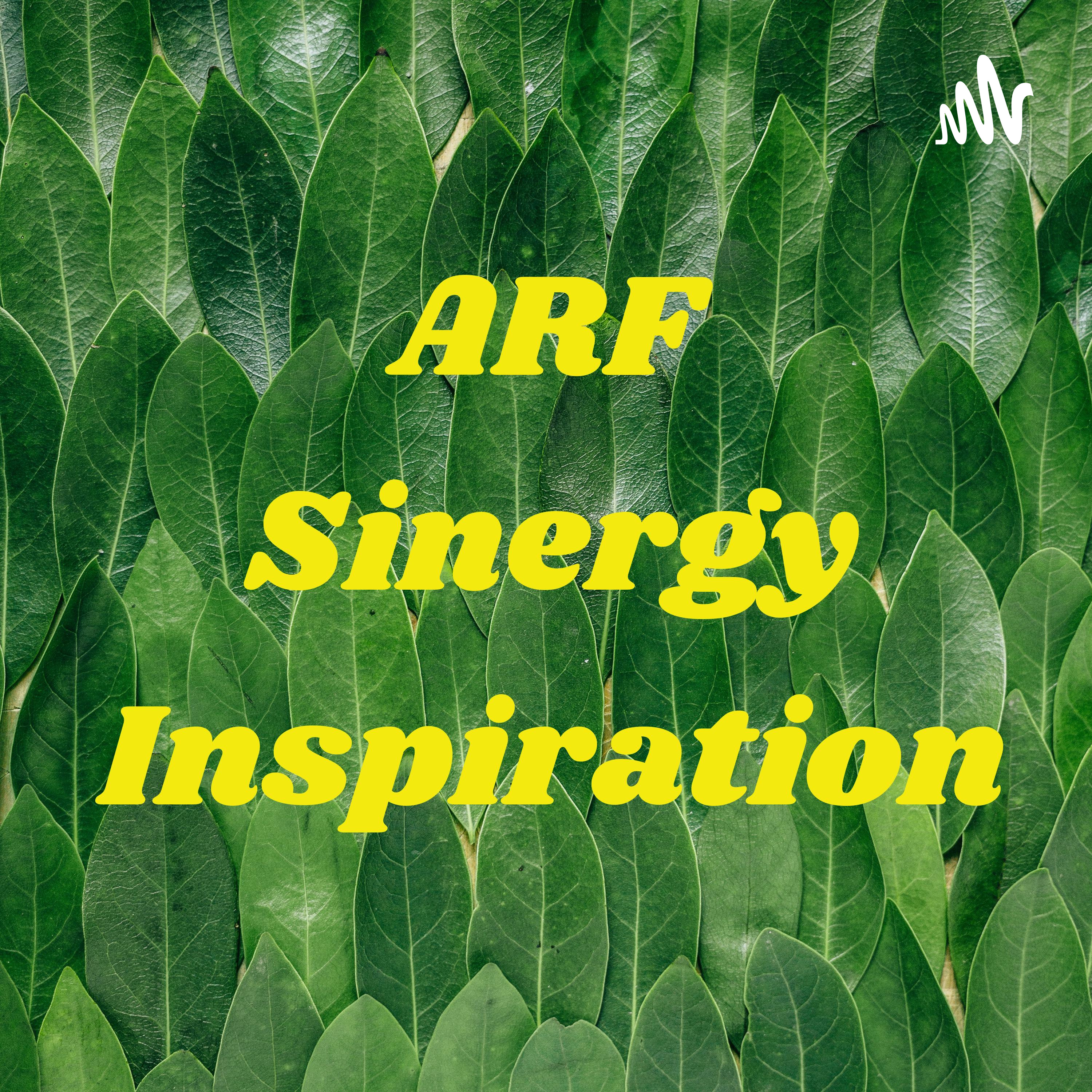 ARF Sinergy Inspiration