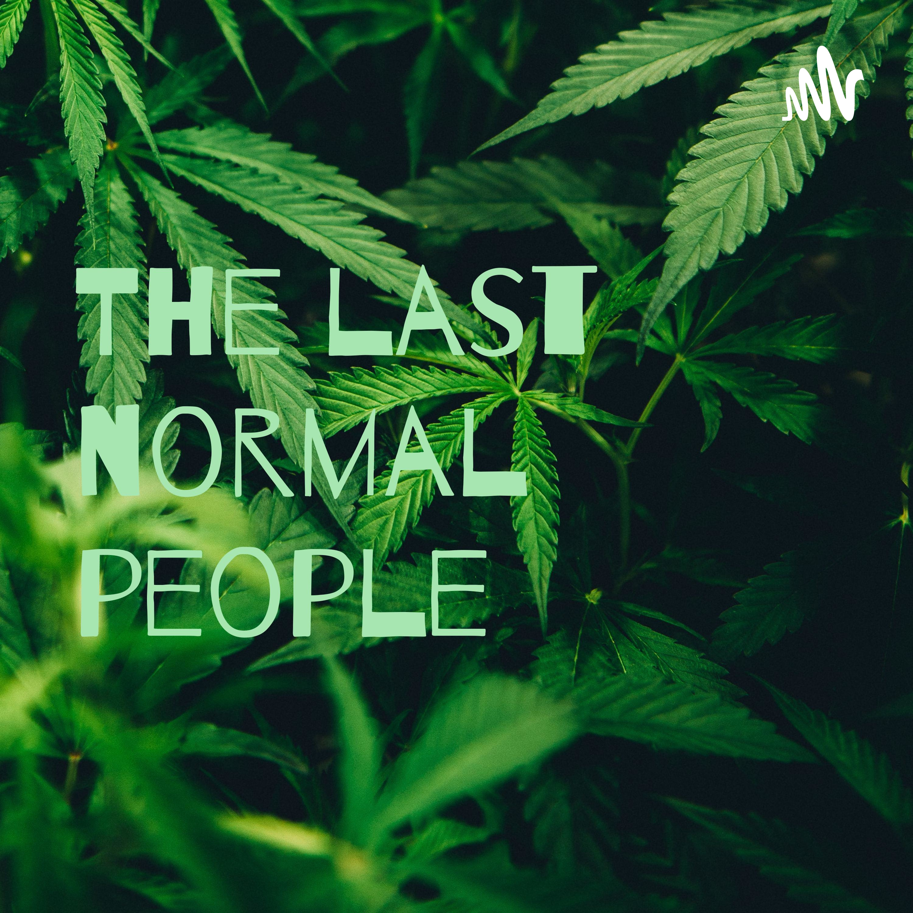 The last normal people