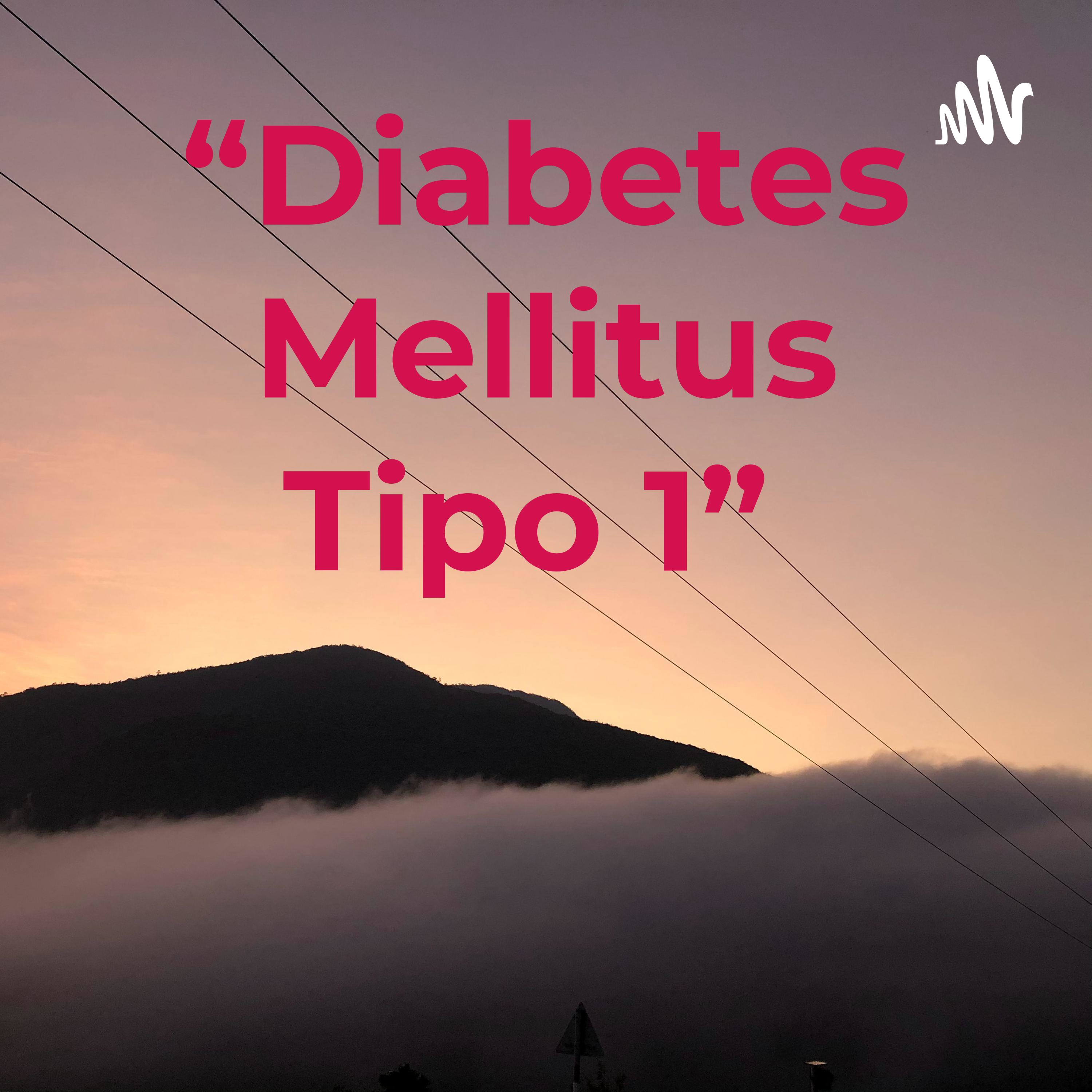 “Diabetes Mellitus Tipo 1” Evelyn Hernández 4E