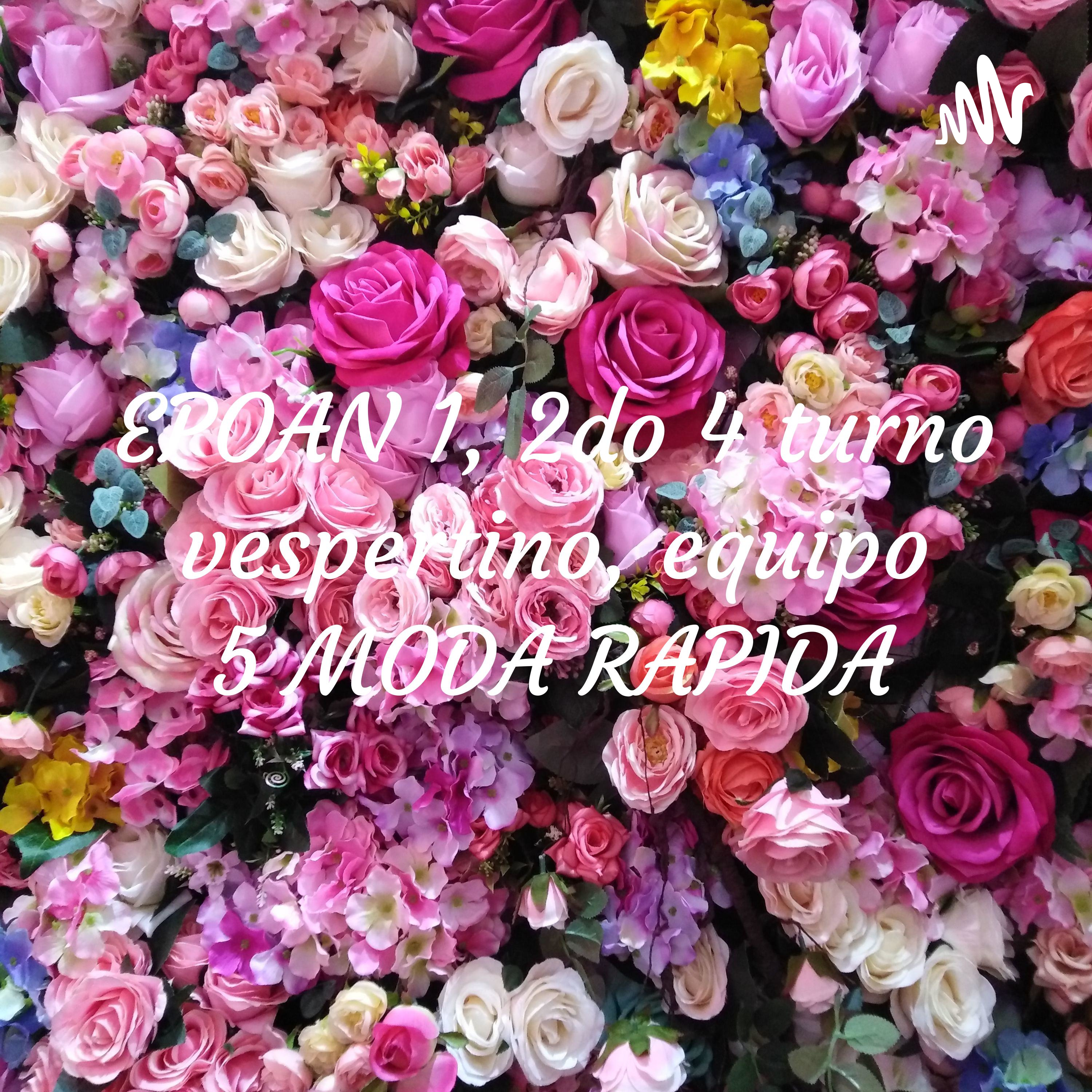 EPOAN 1, 2do 4 turno vespertino, equipo 5 MODA RAPIDA