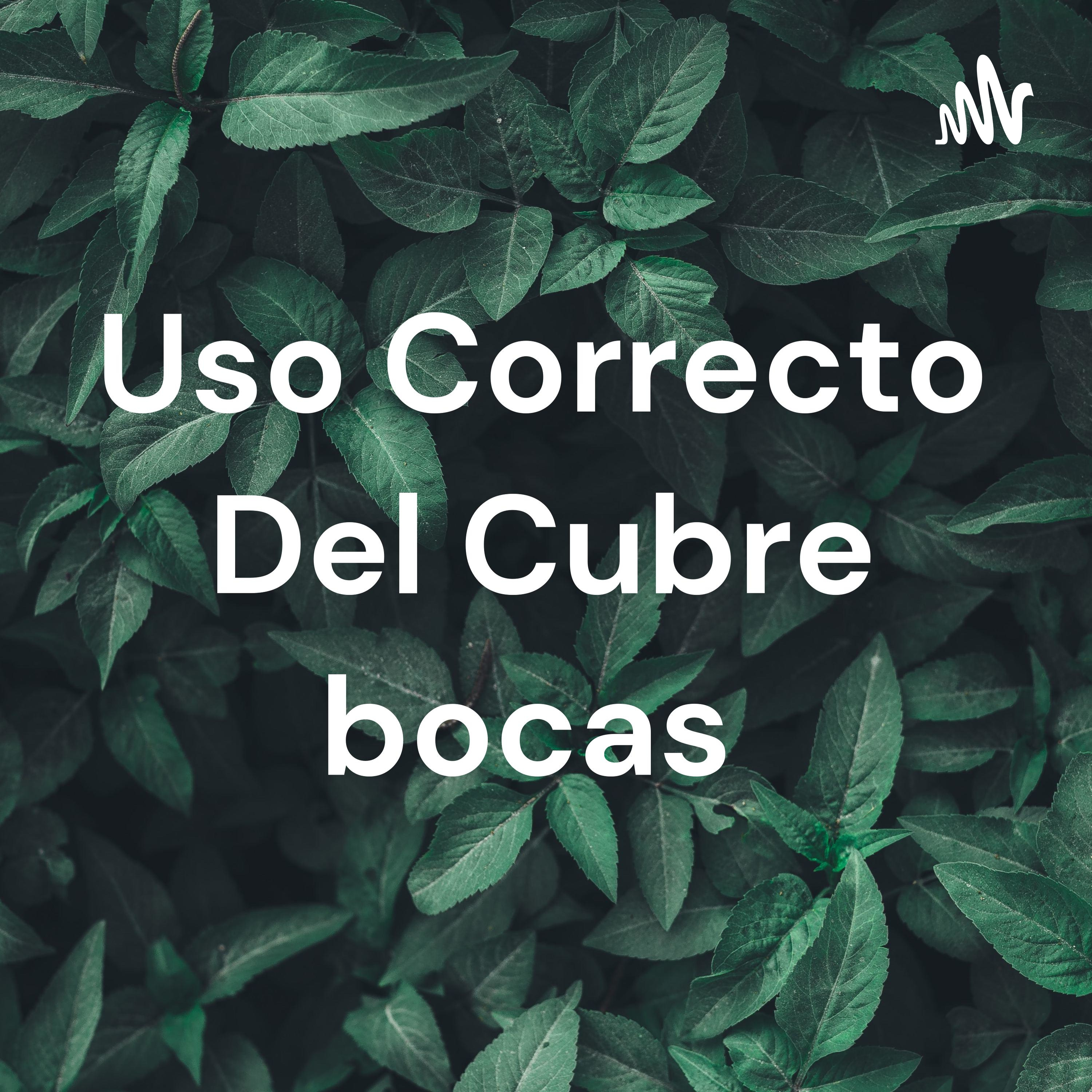 Uso Correcto Del Cubre bocas cover art