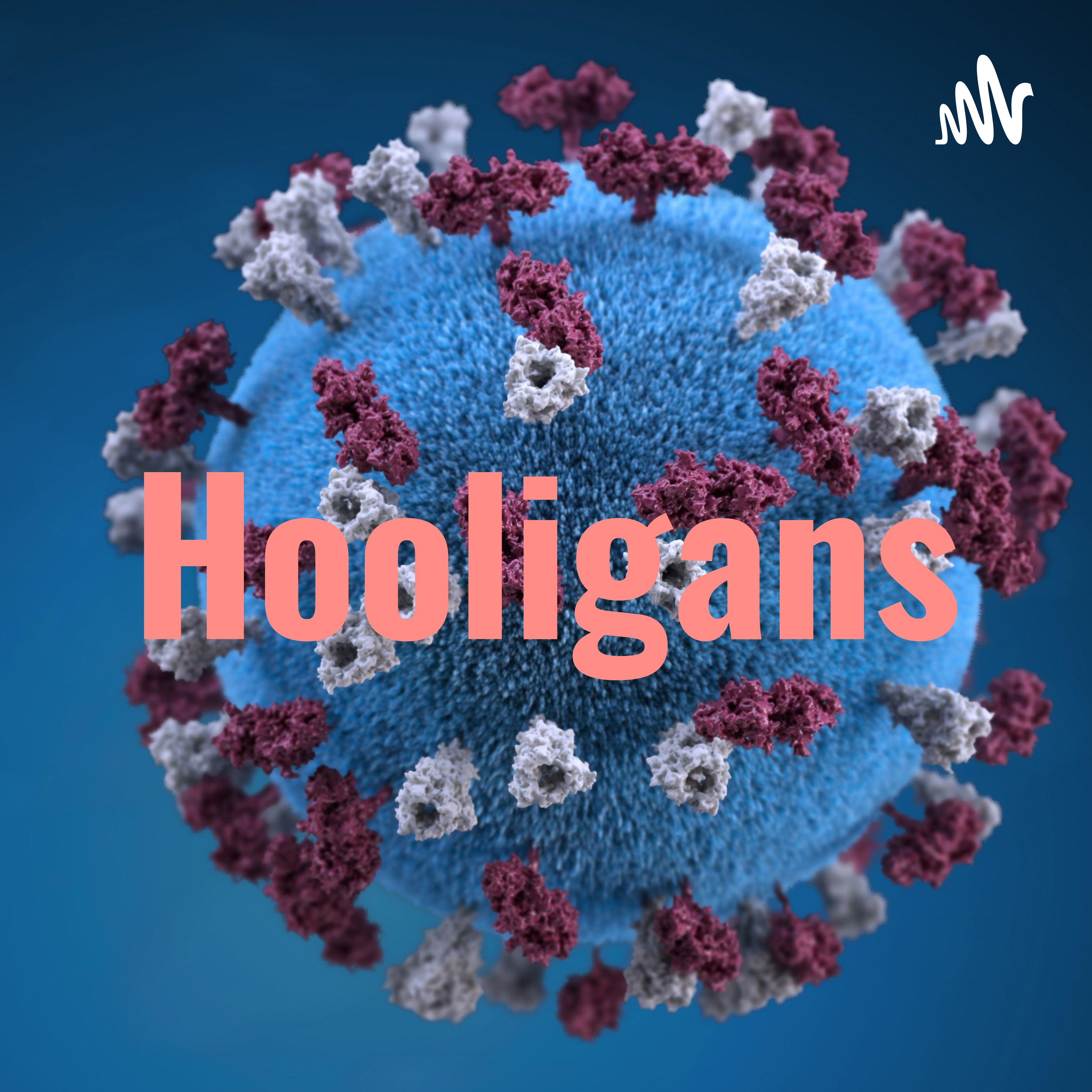 Hooligans