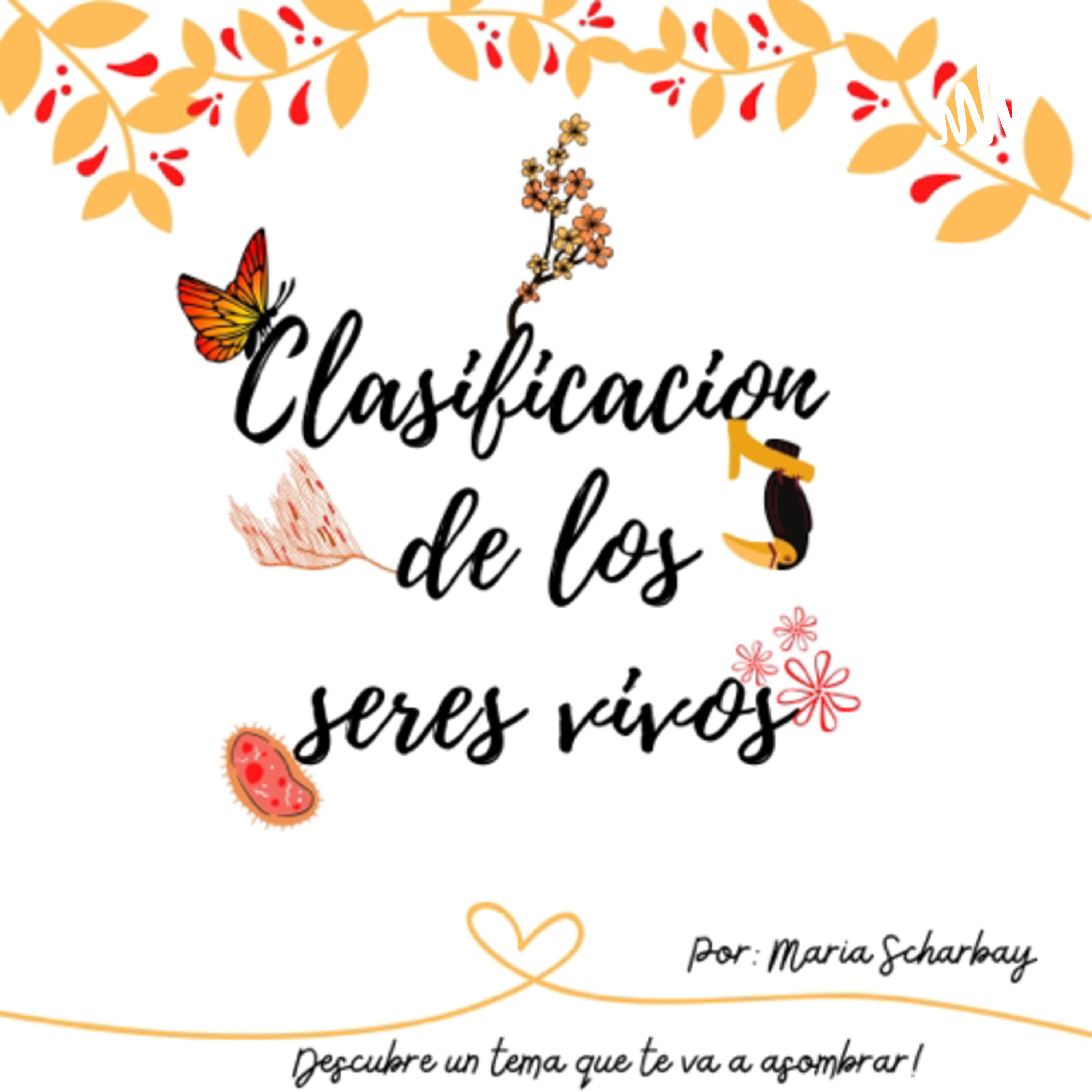Clasificación de los seres vivos 🦋 cover art