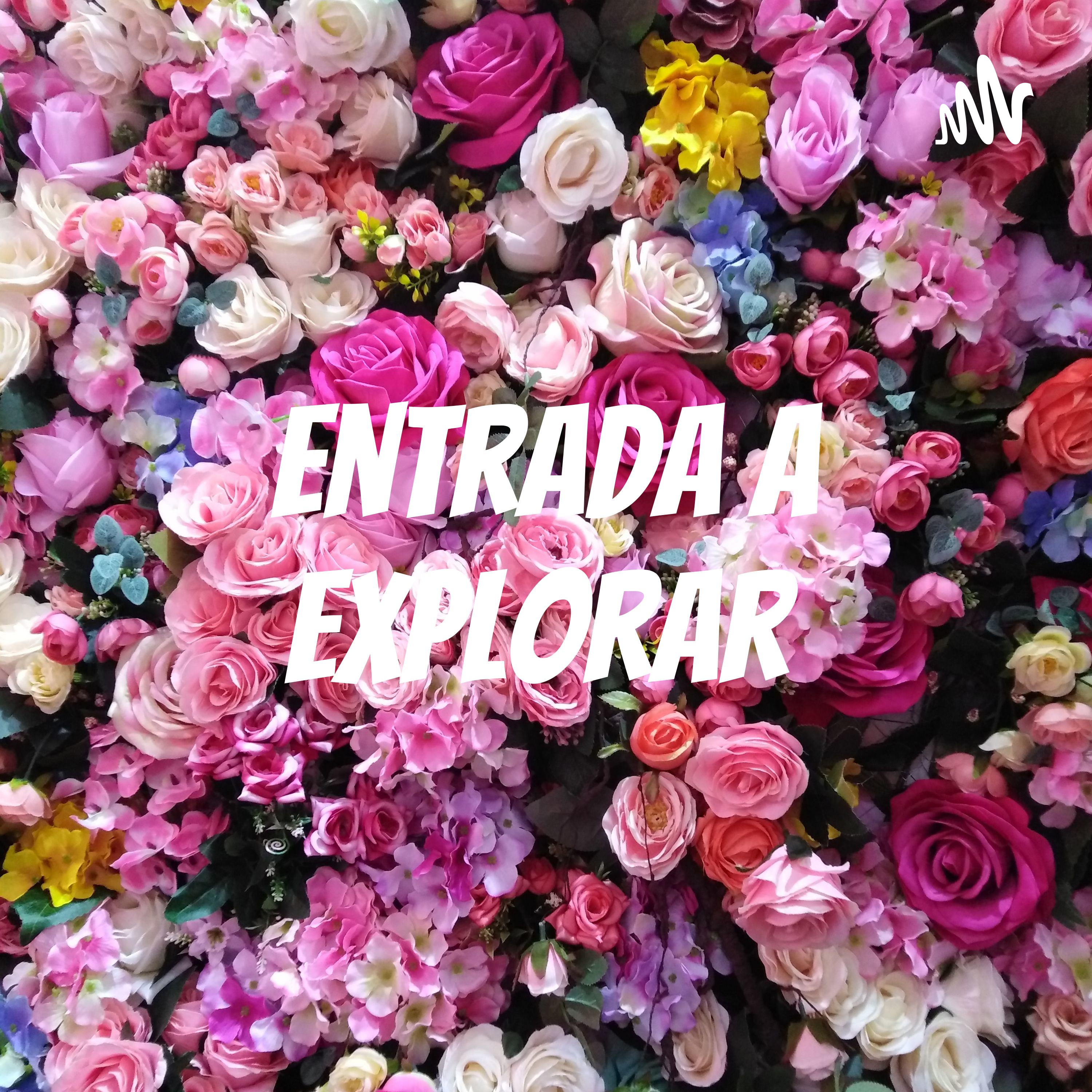 Entrada a explorar cover art