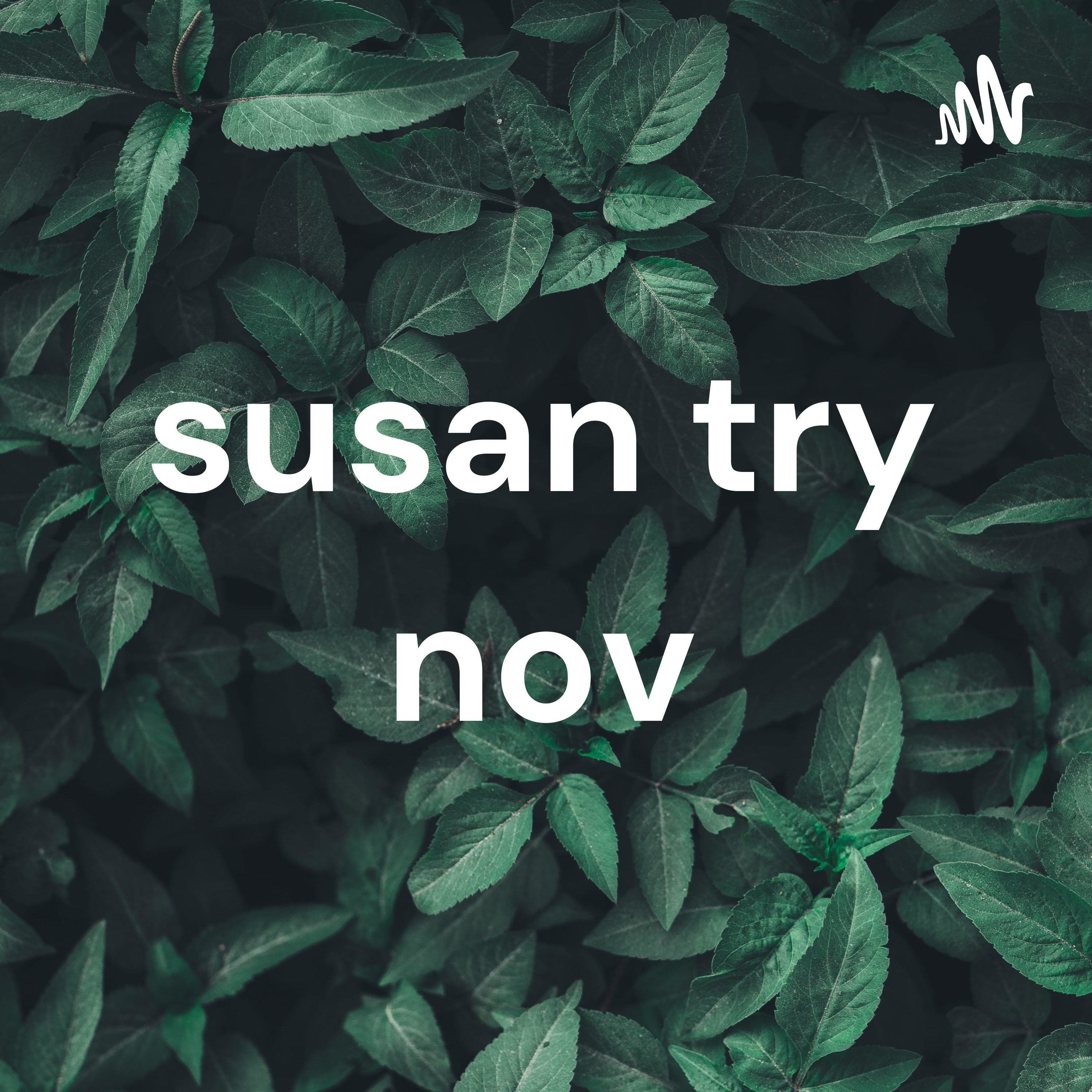 susan try nov podcast artwork