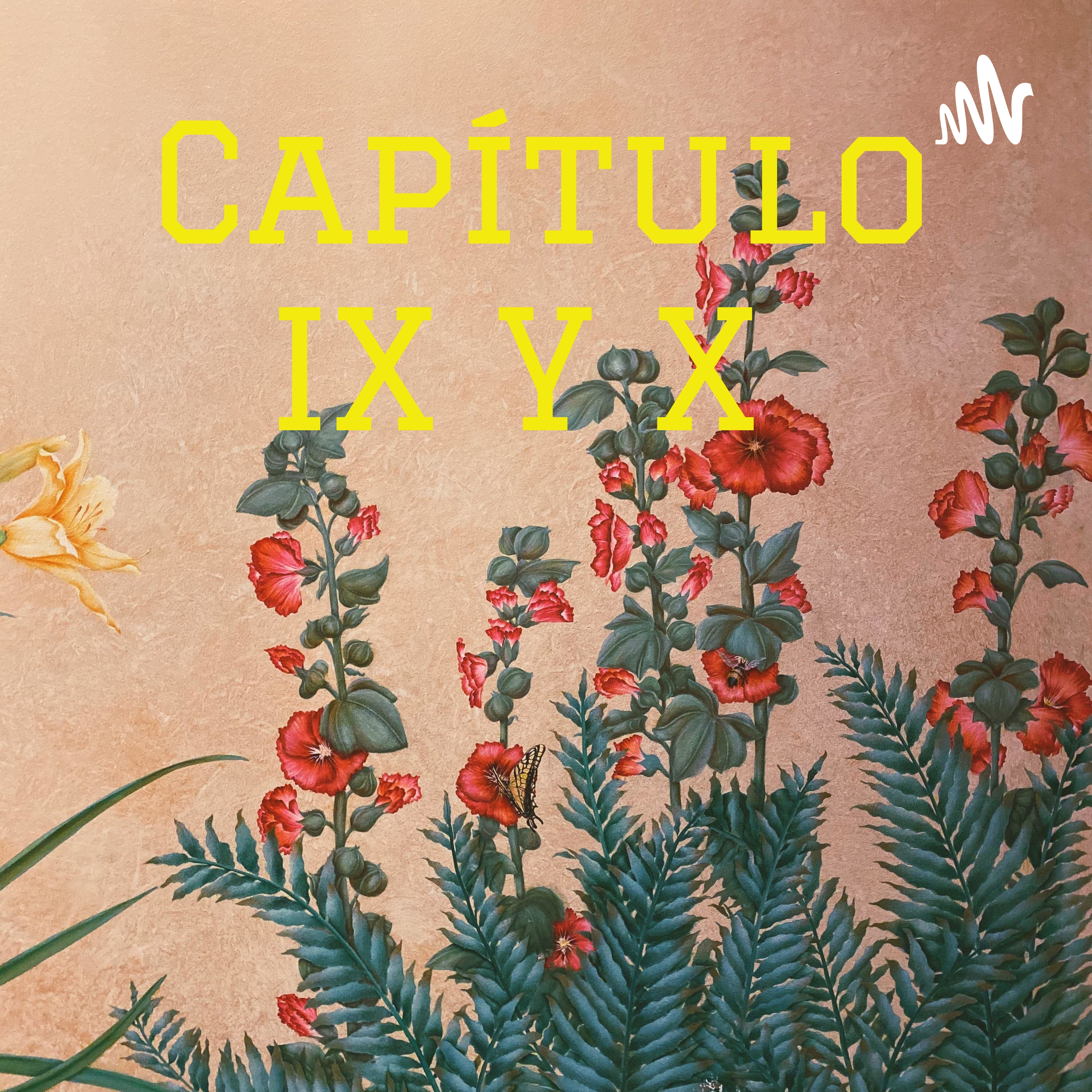 Capítulo IX Y X cover art