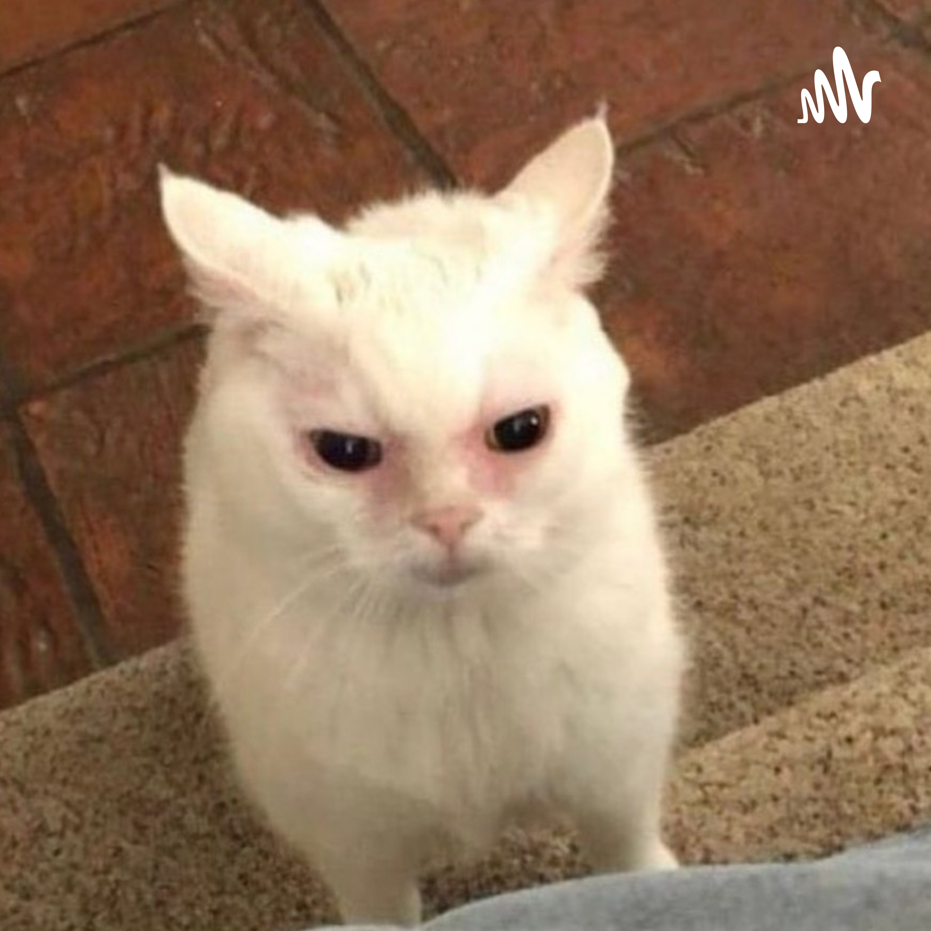 ZATEN O ŞARKIYI BEN SANA YAZMADIM cover art