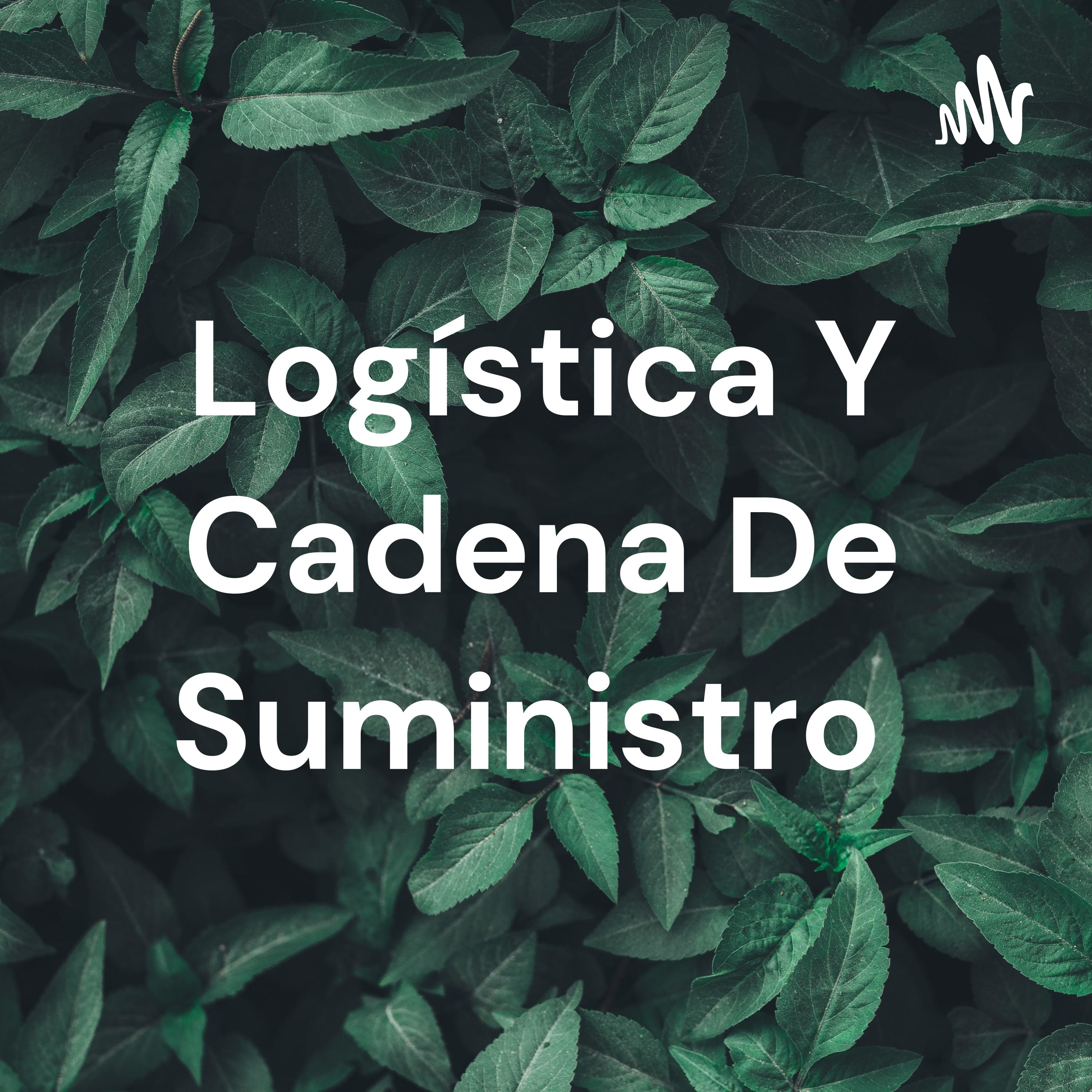 Logística Y Cadena De Suministro 