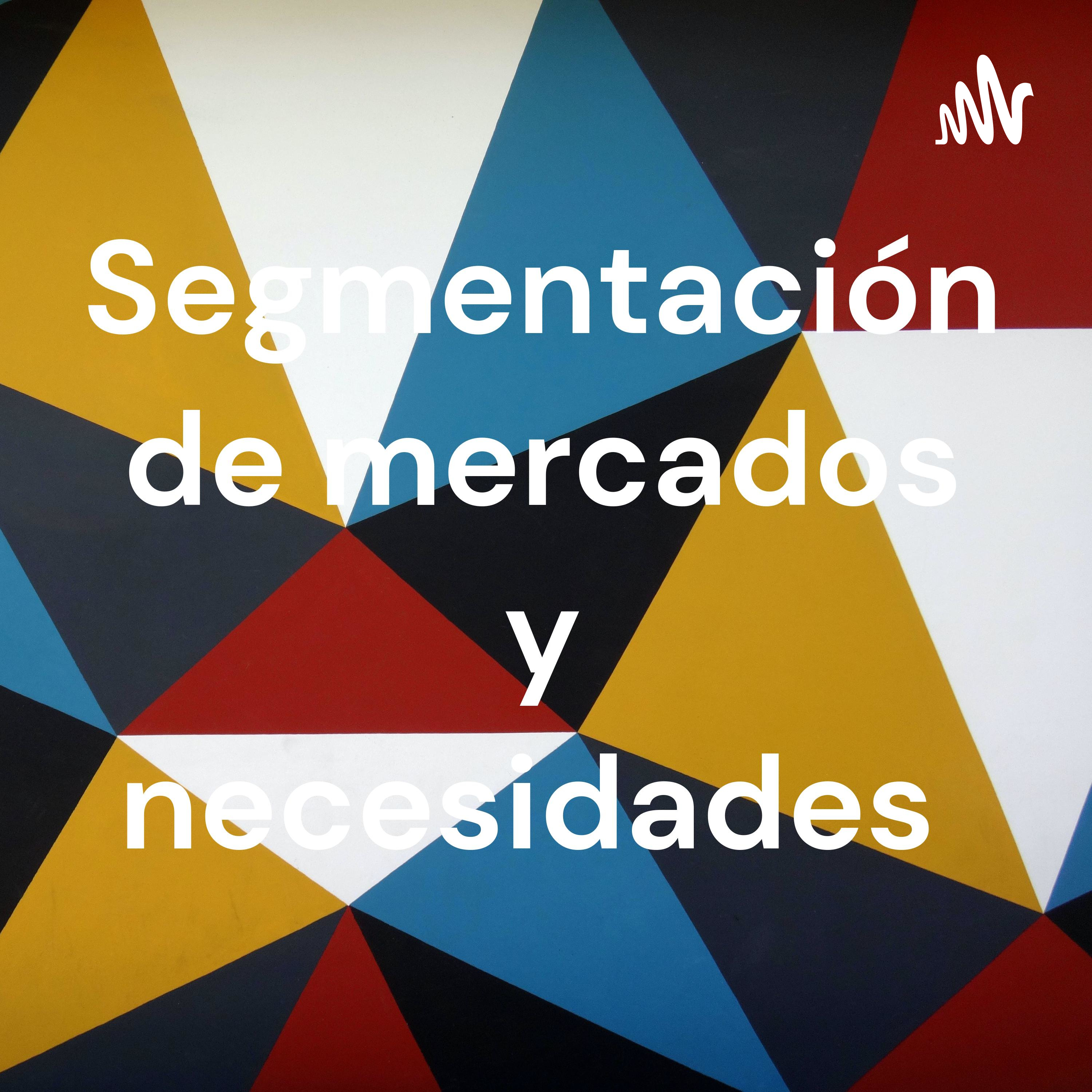Segmentación de mercados y necesidades 