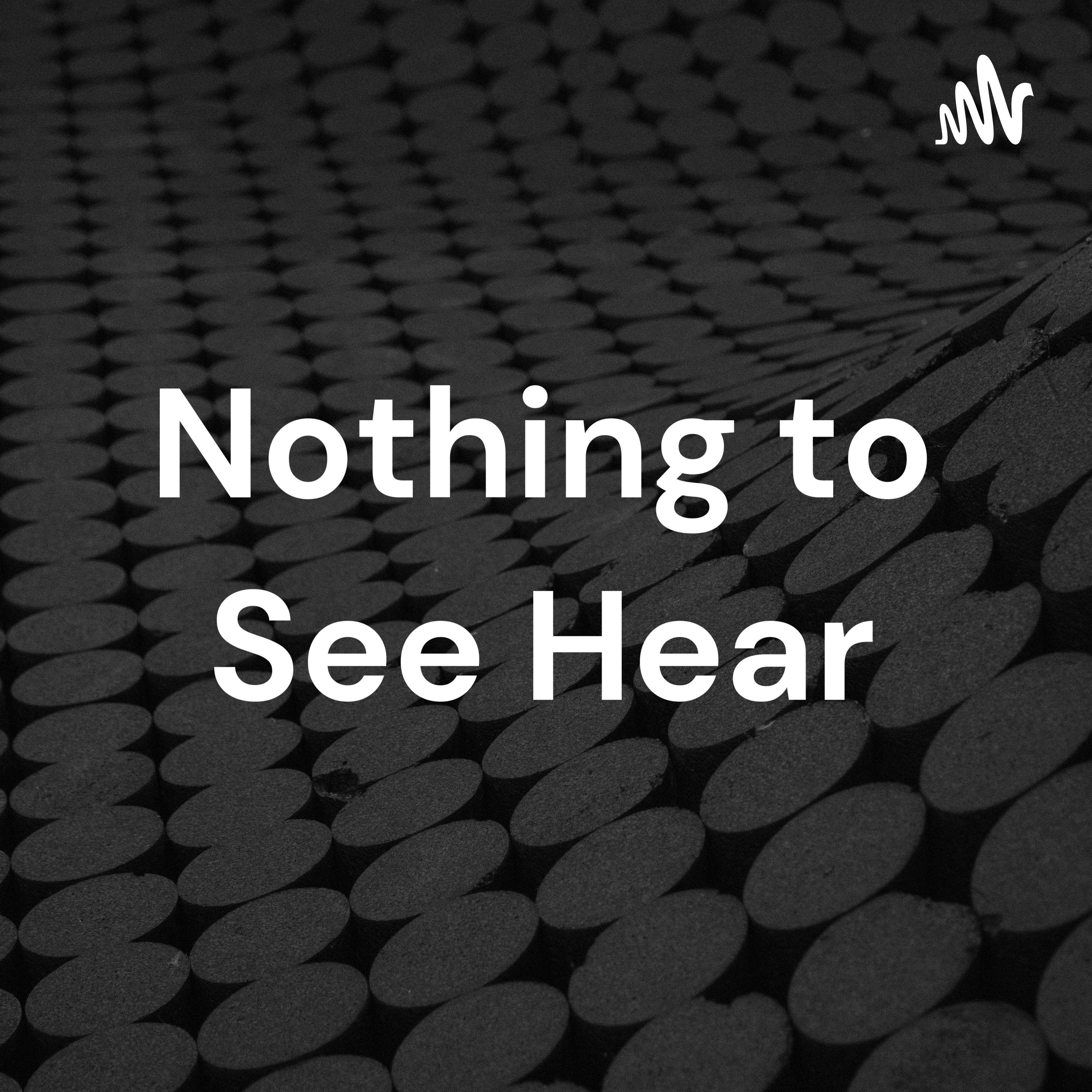 Nothing to See Hear