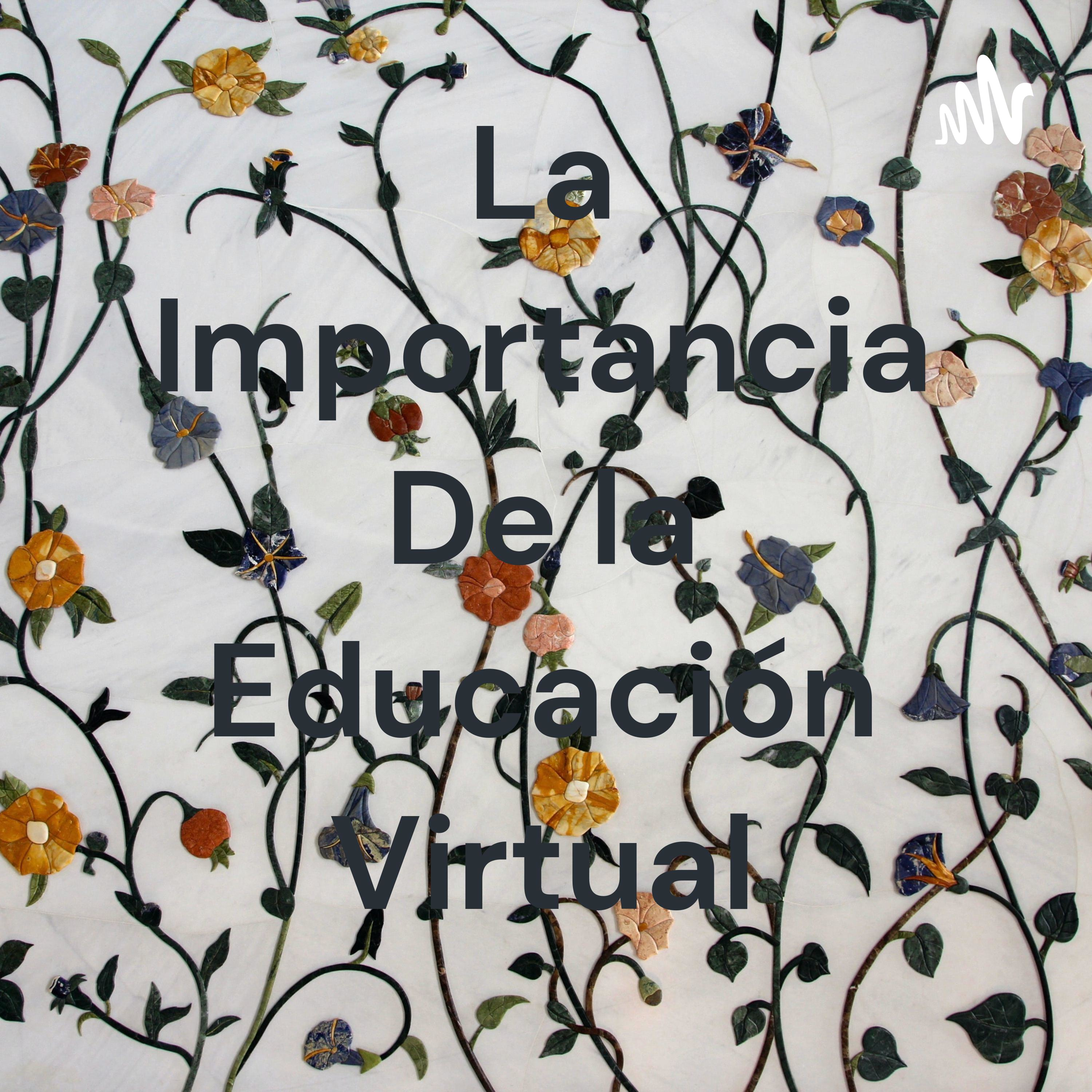 La Importancia De la Educación Virtual podcast artwork