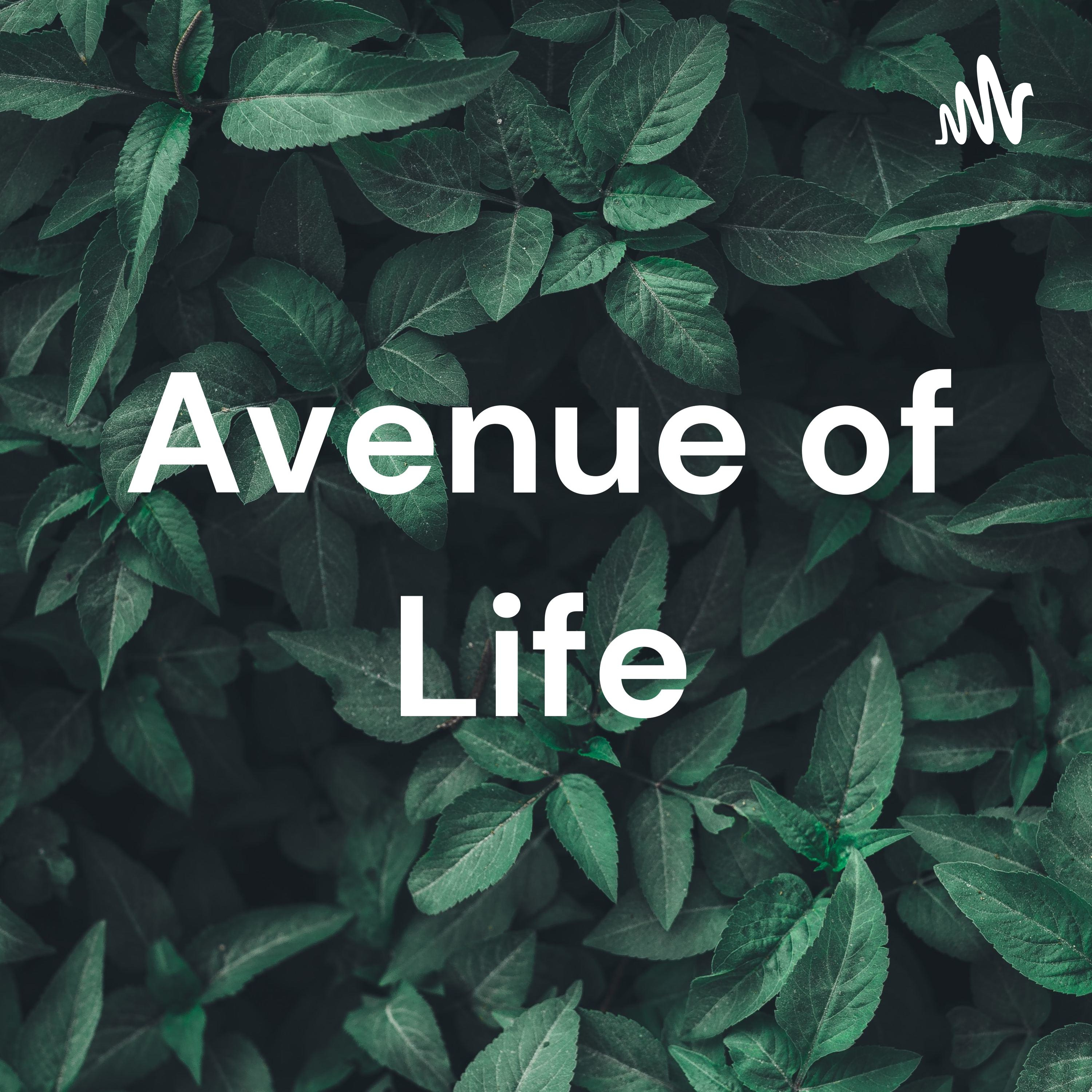 Avenue of Life