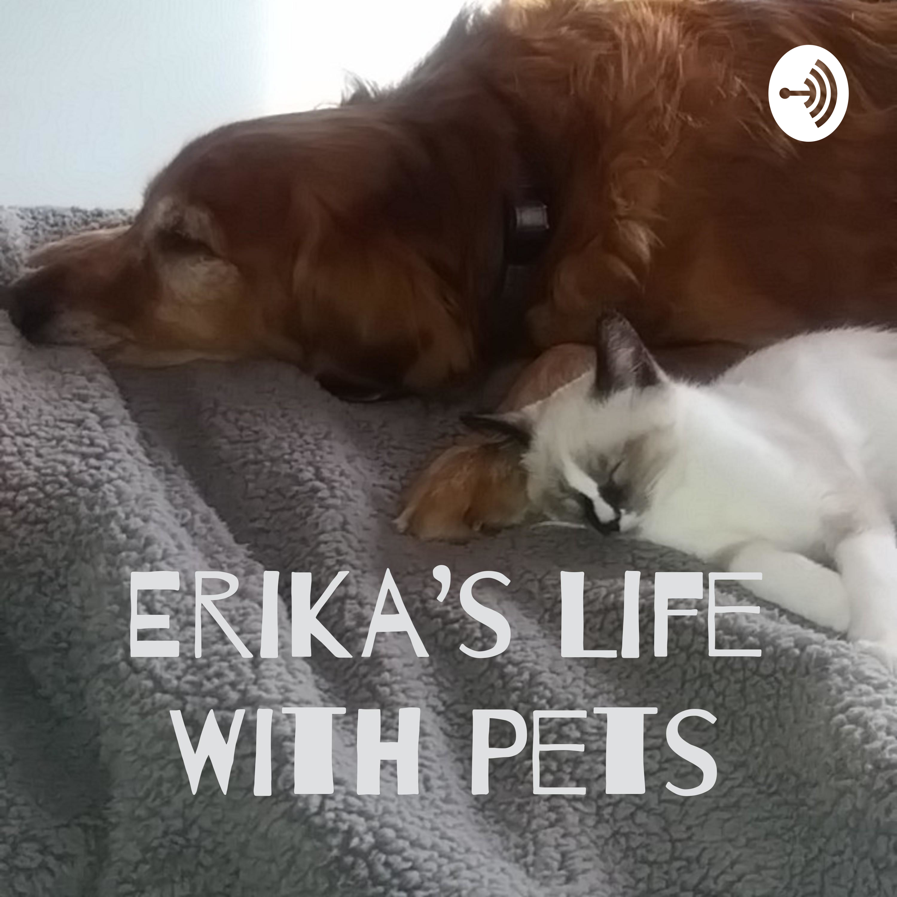 Erika's Life With Pets