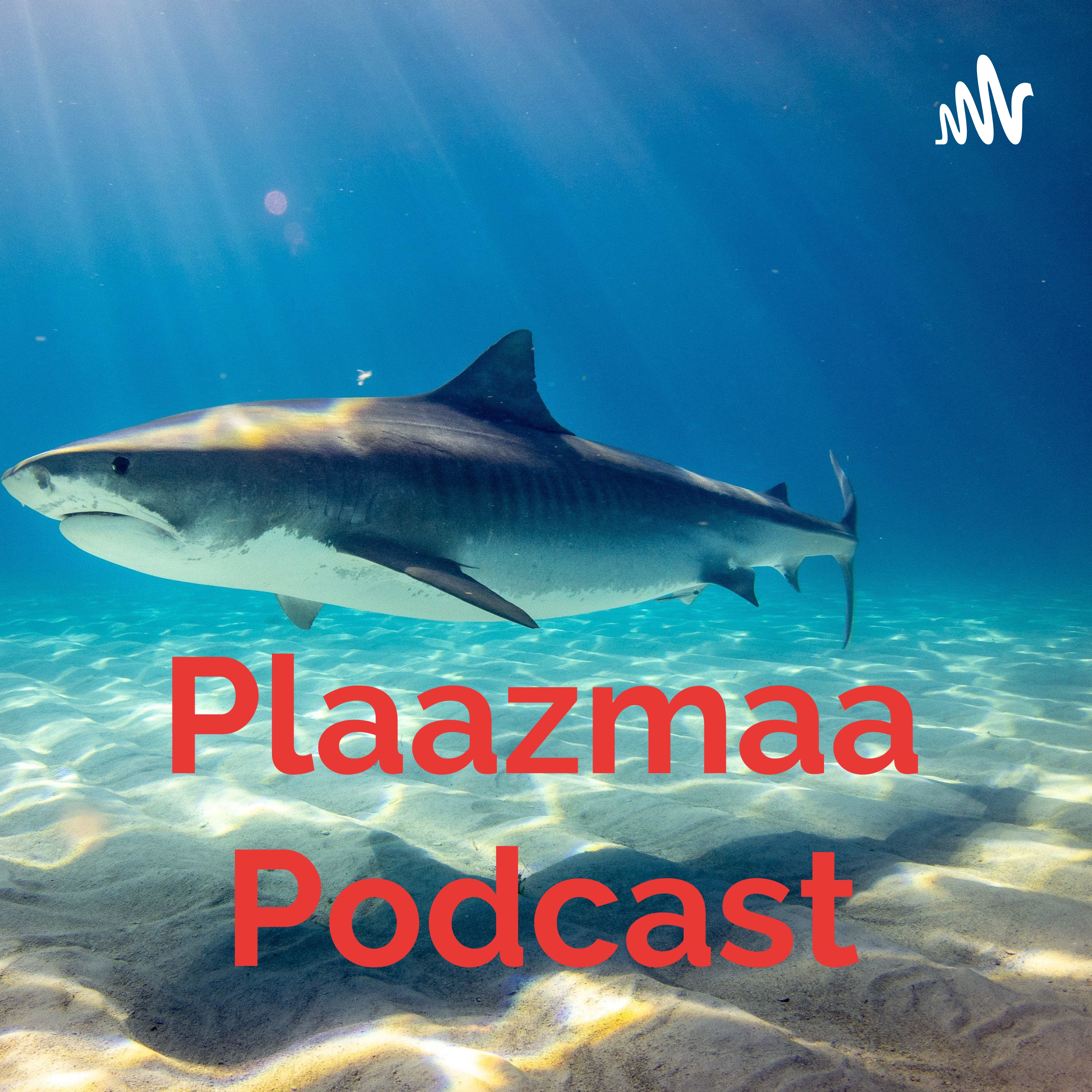 Plaazmaa Podcast podcast artwork