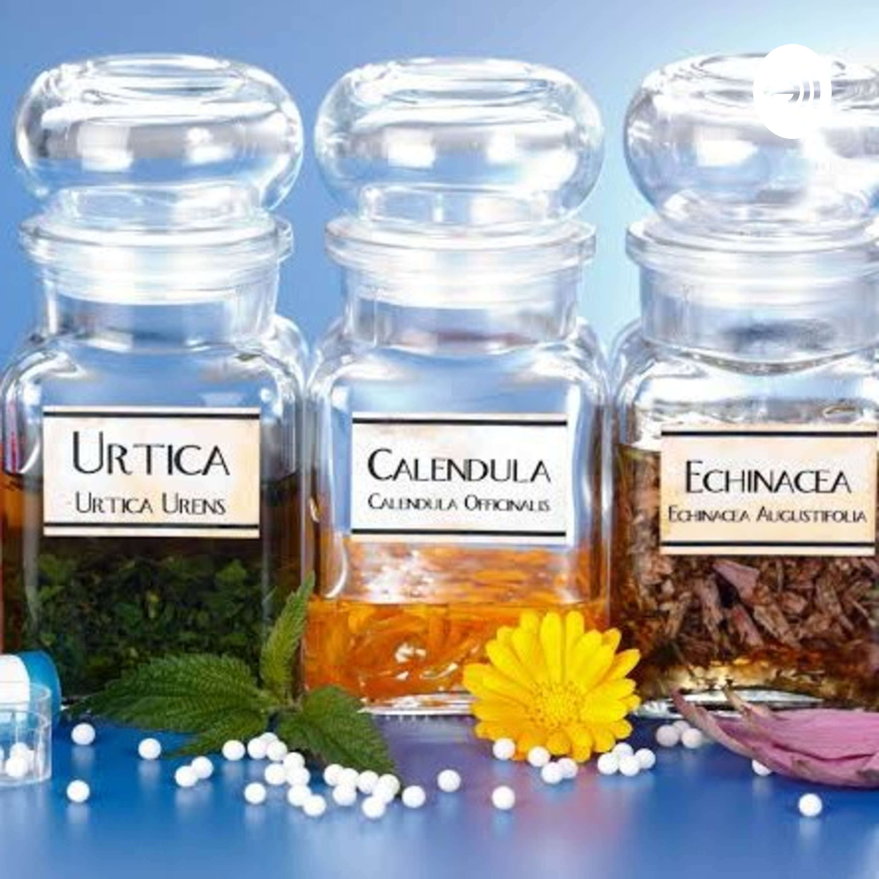 Homeopatía Y El Sistema Inmune