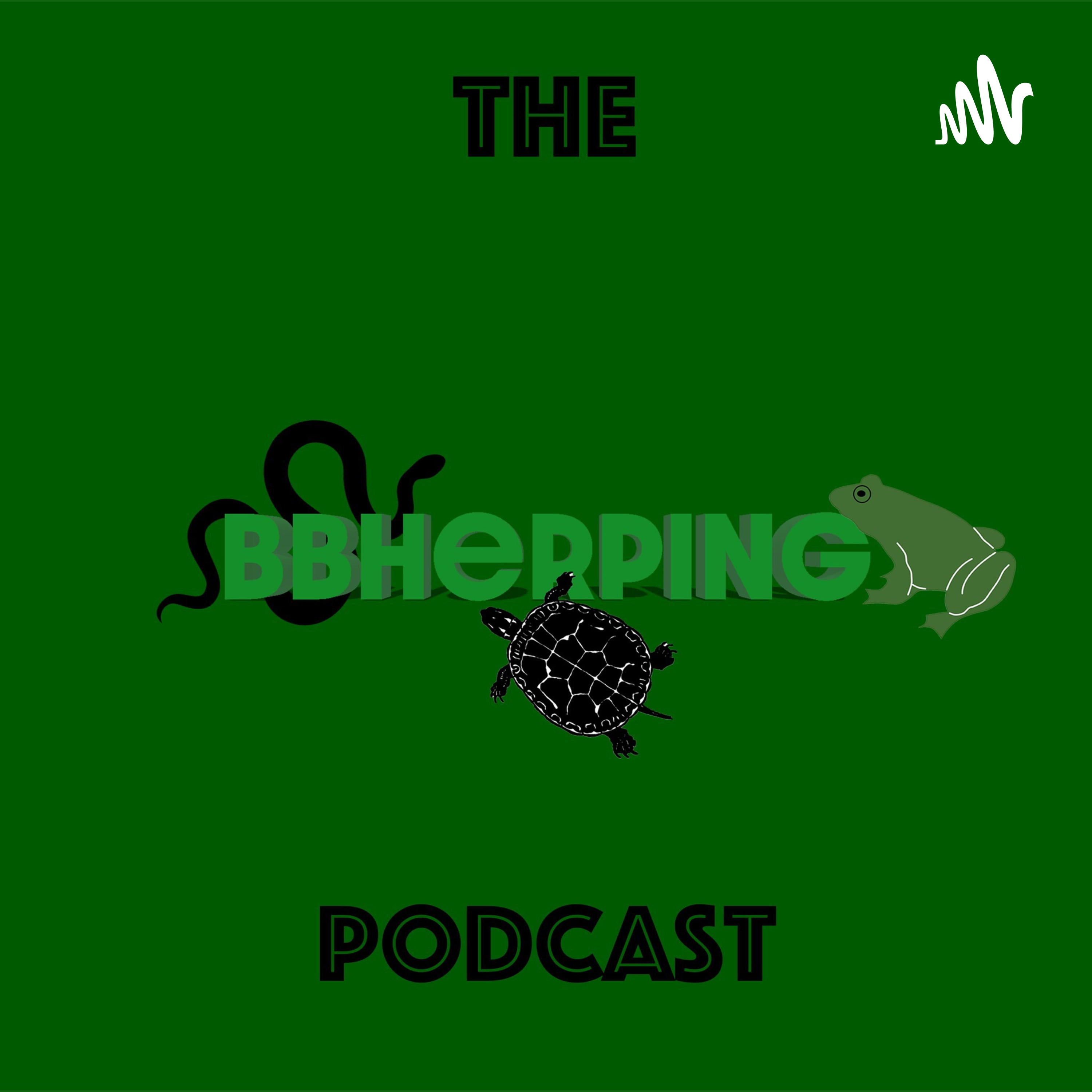 The BBHerping Podcast