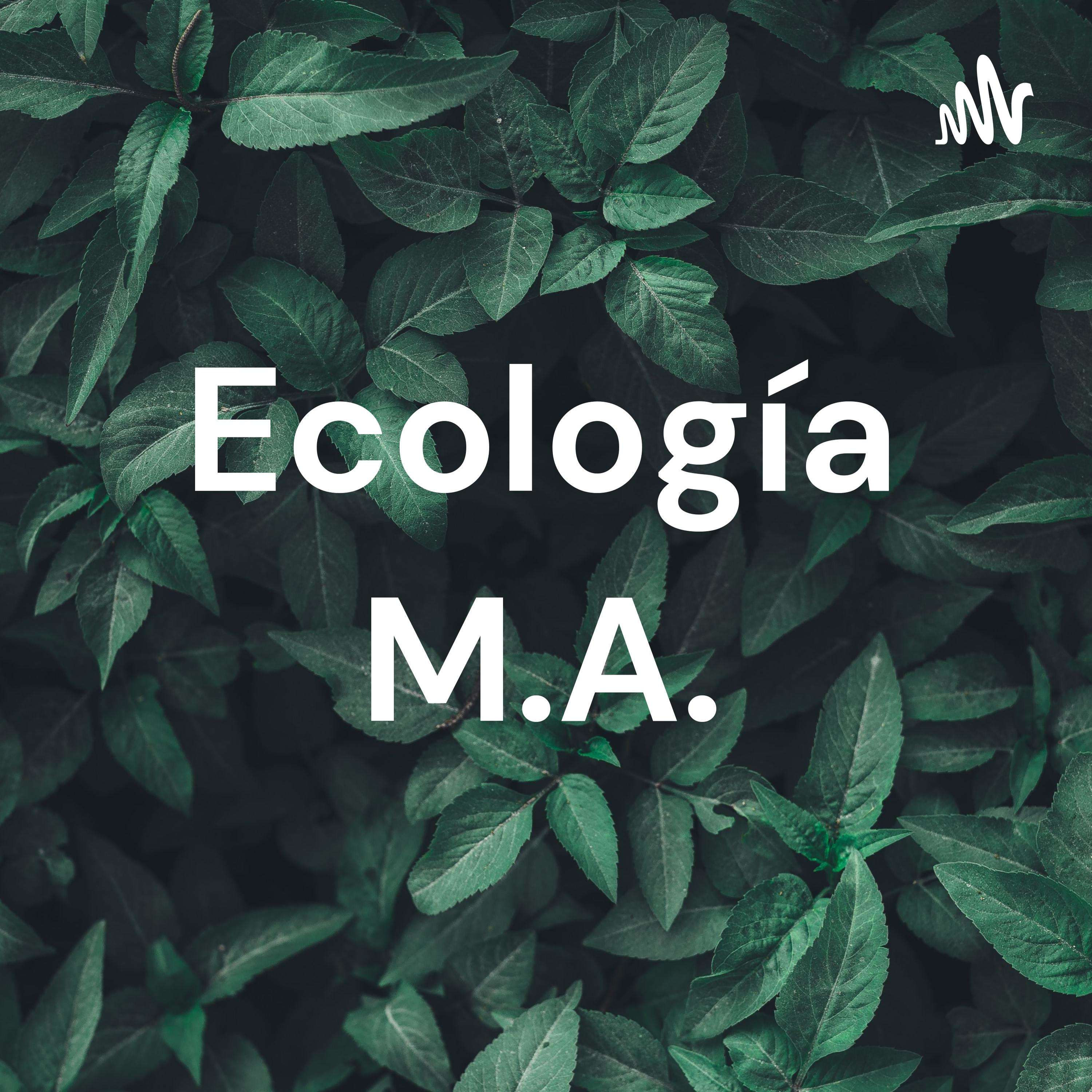 Ecología M.A.