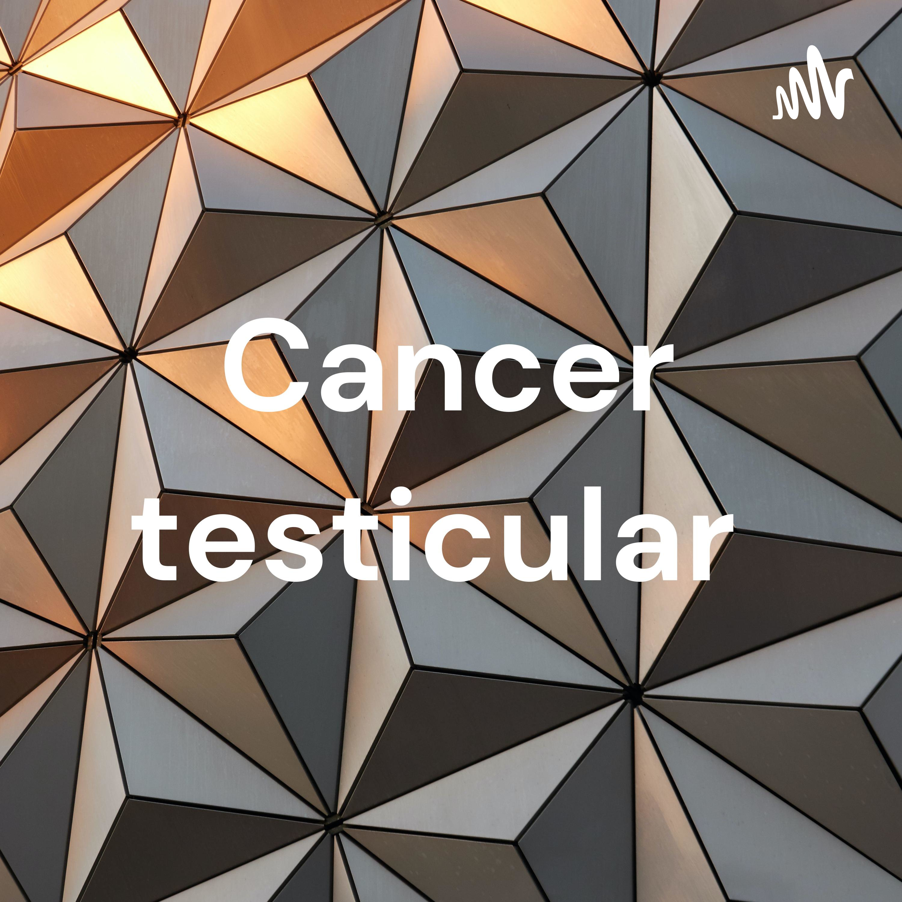 Cancer testicular 