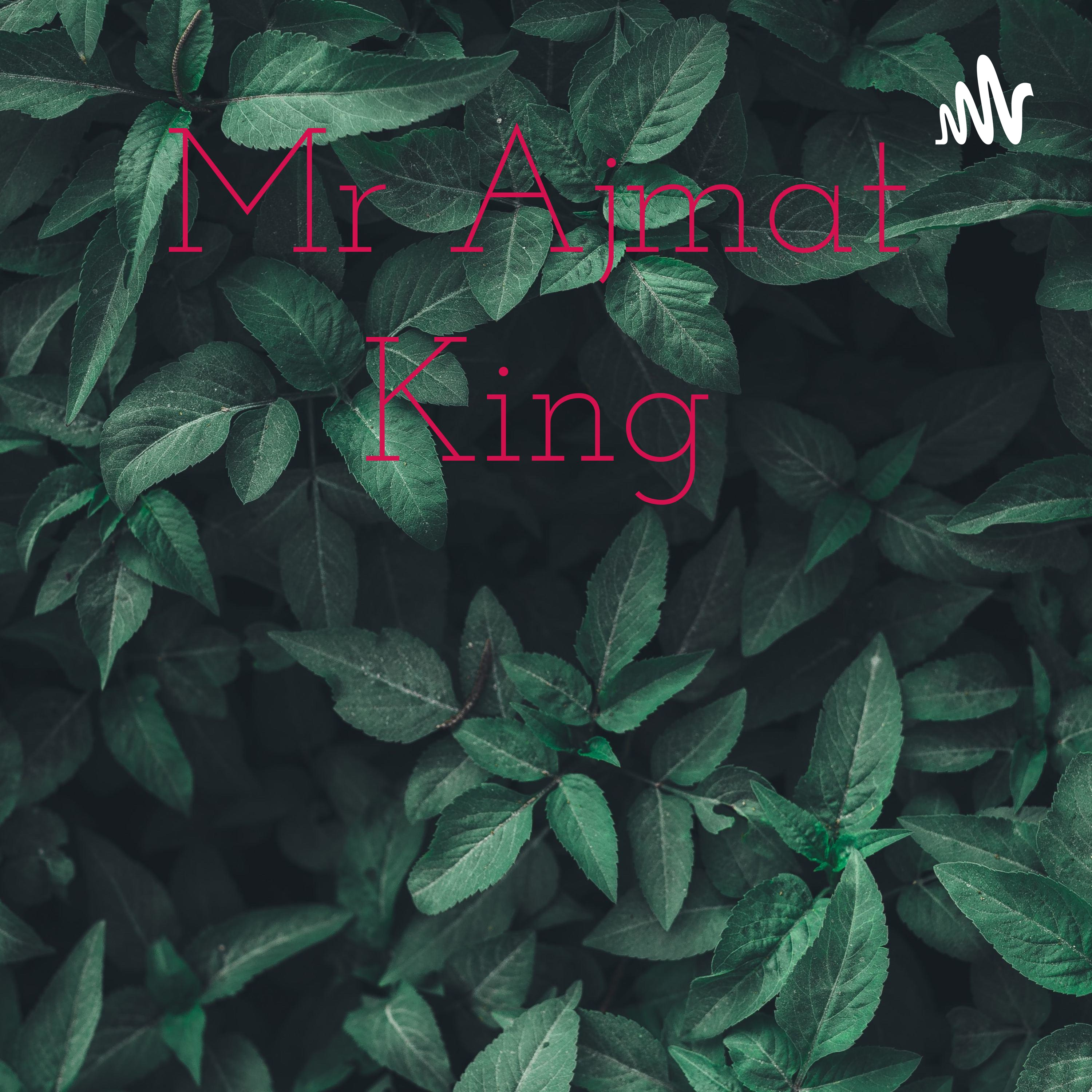 Mr Ajmat King