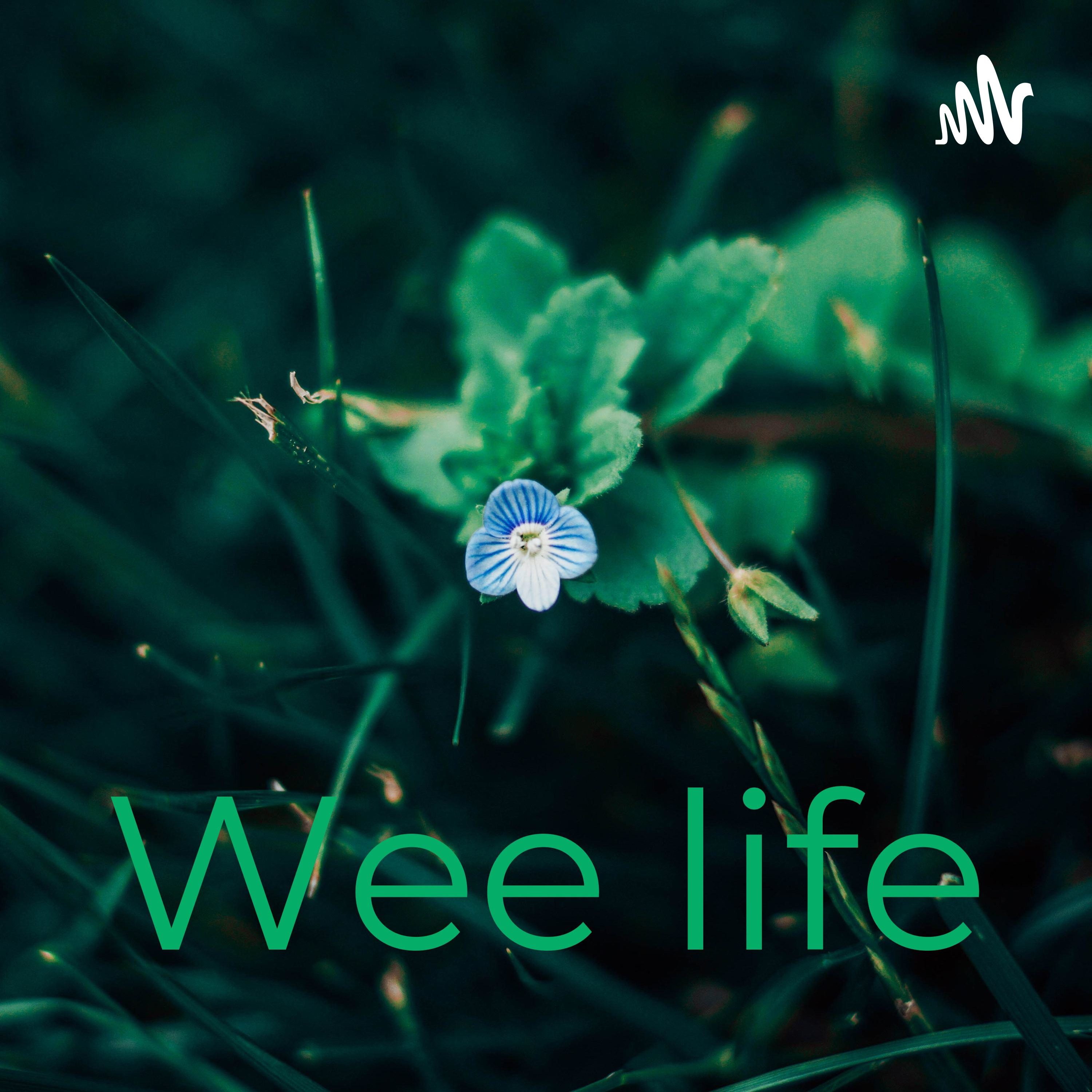 Wee life