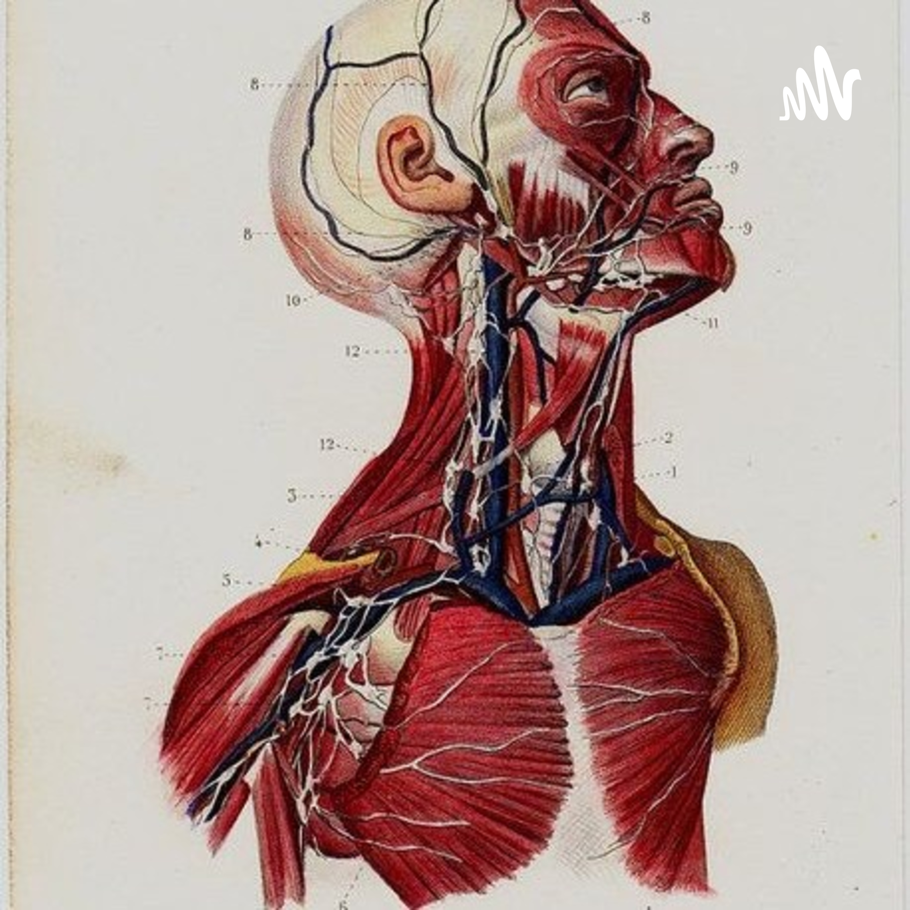 La Innovación Social En Medicina
