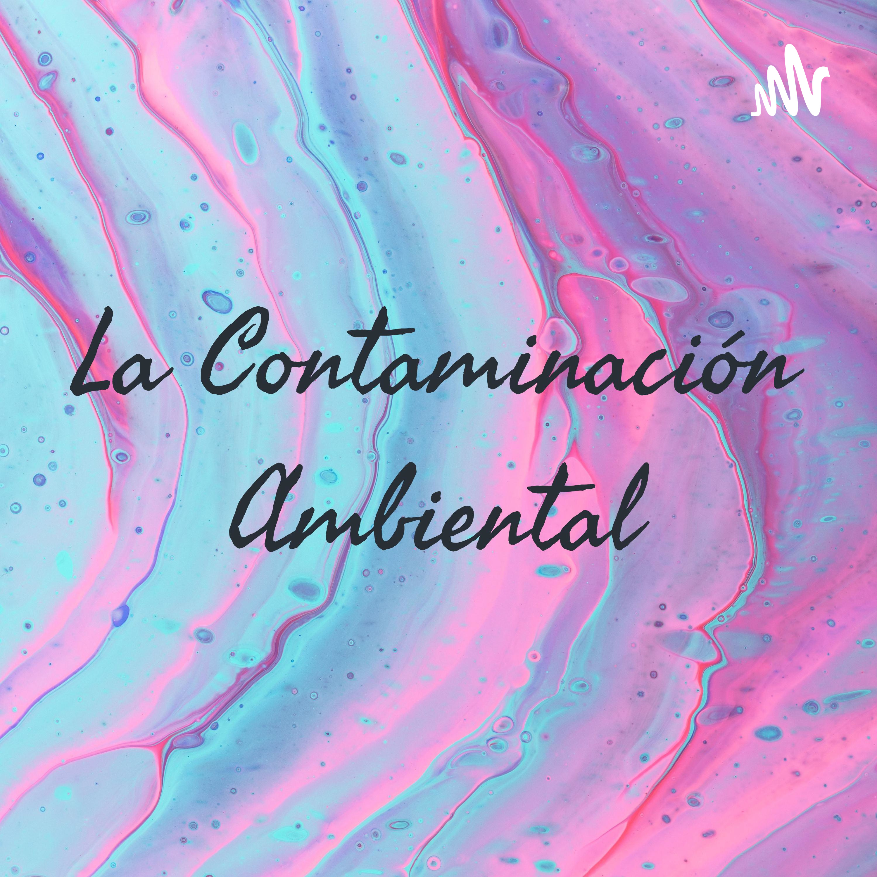 La Contaminación Ambiental