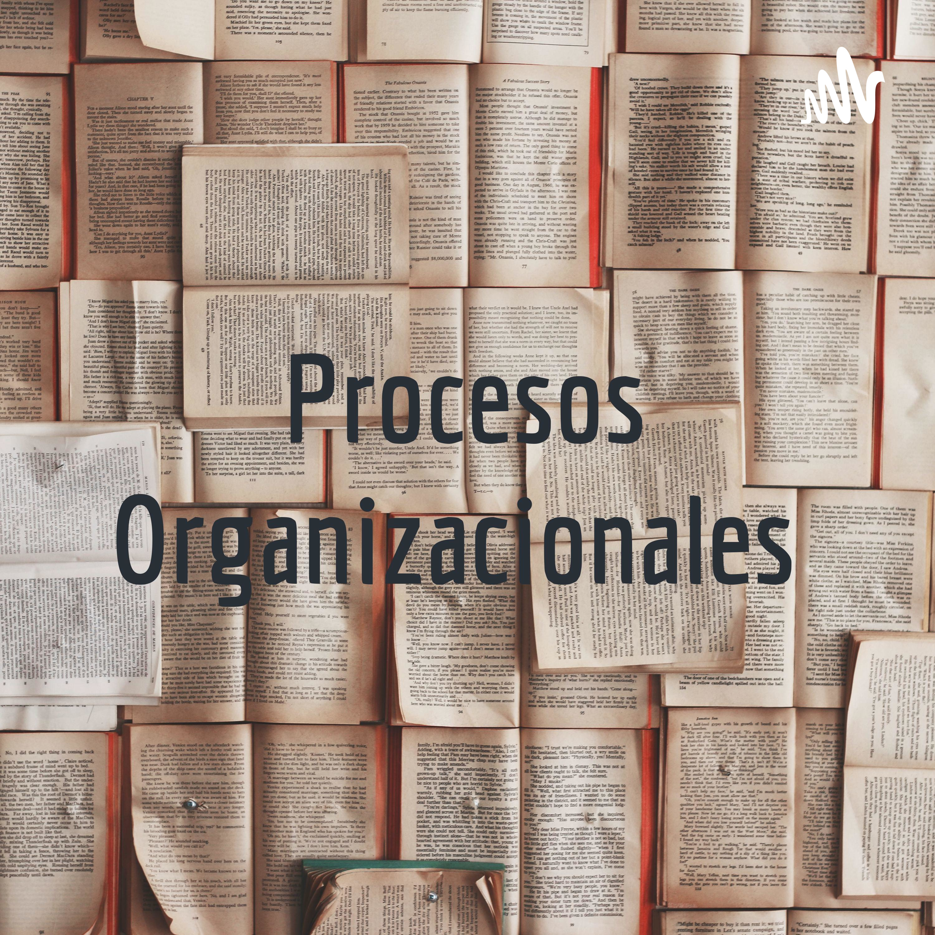 Procesos Organizacionales 