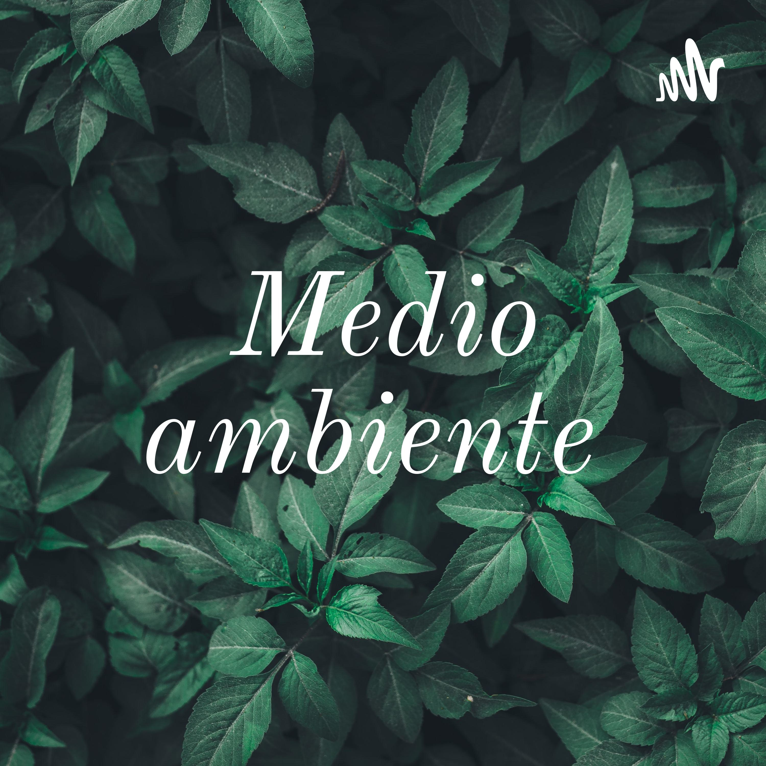 Medio ambiente 