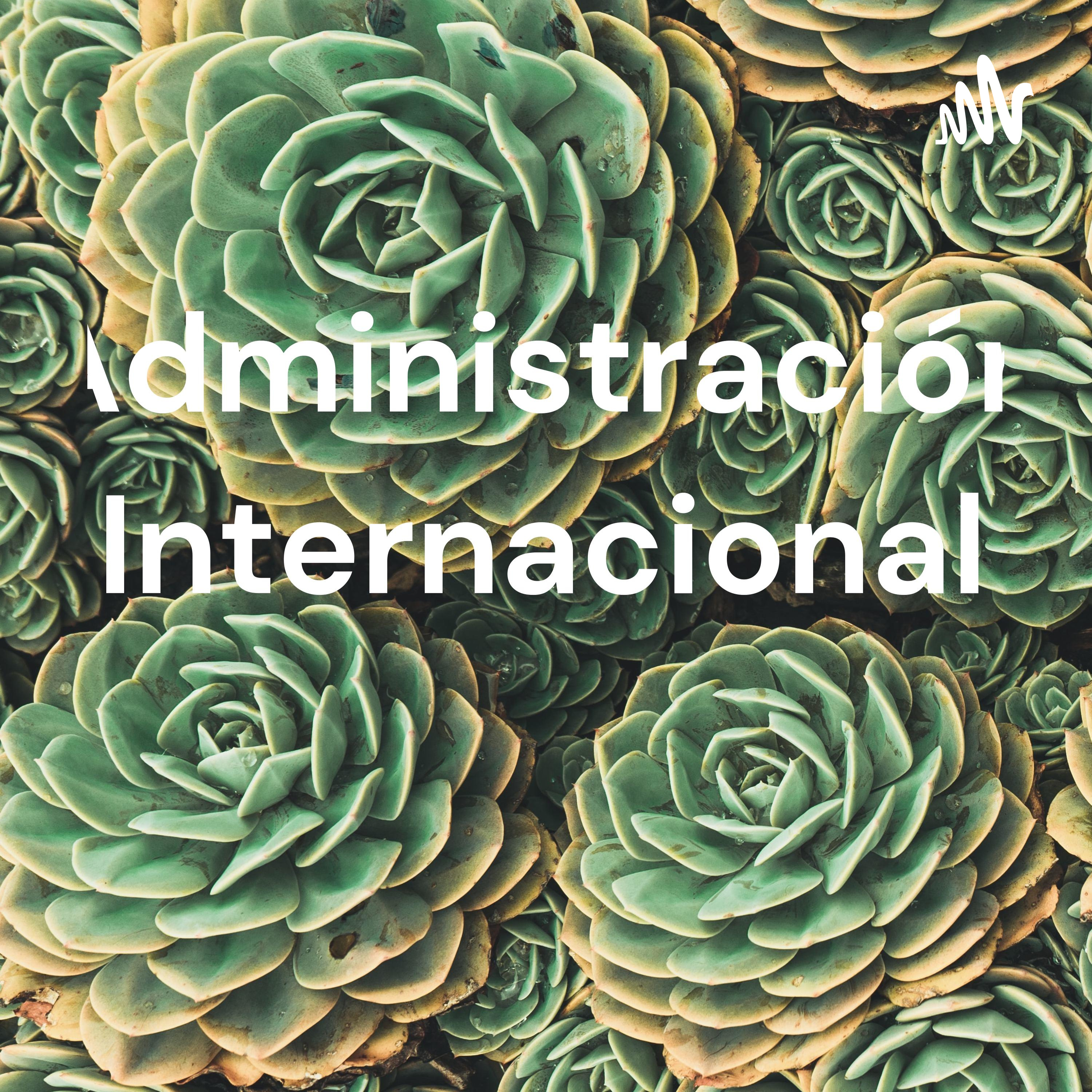 Administración Internacional cover art