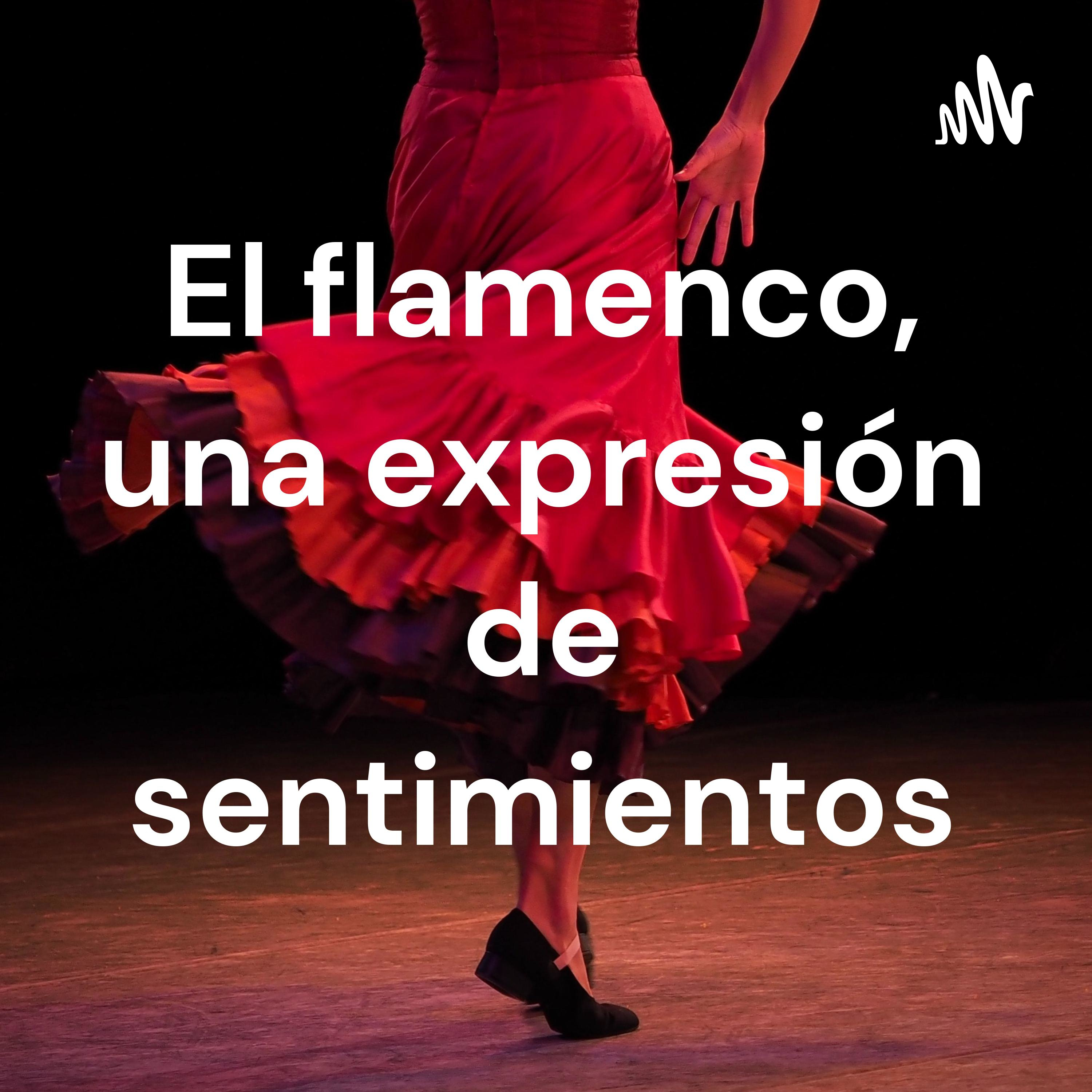El flamenco, una expresión de sentimientos
