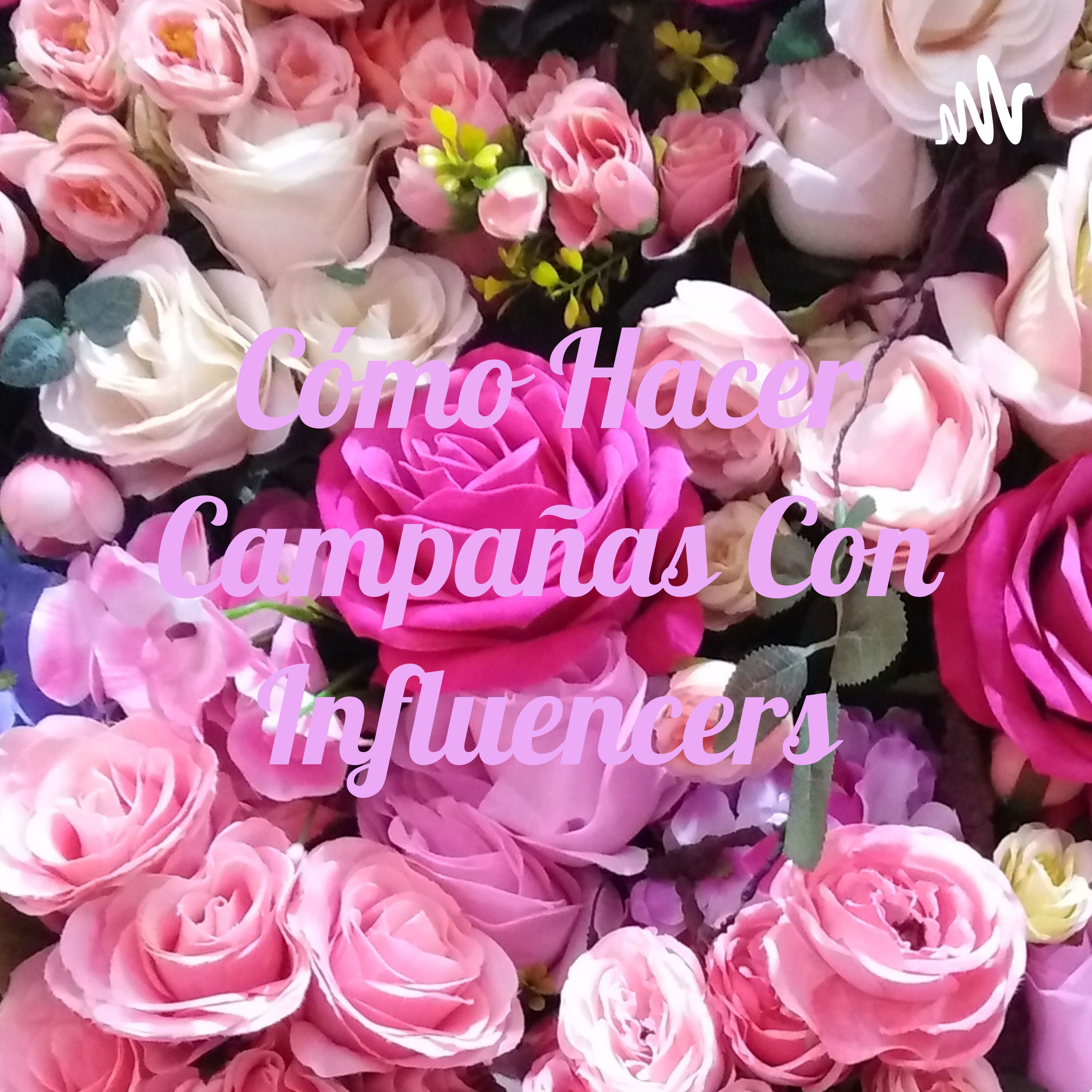 Cómo Hacer Campañas Con Influencers cover art