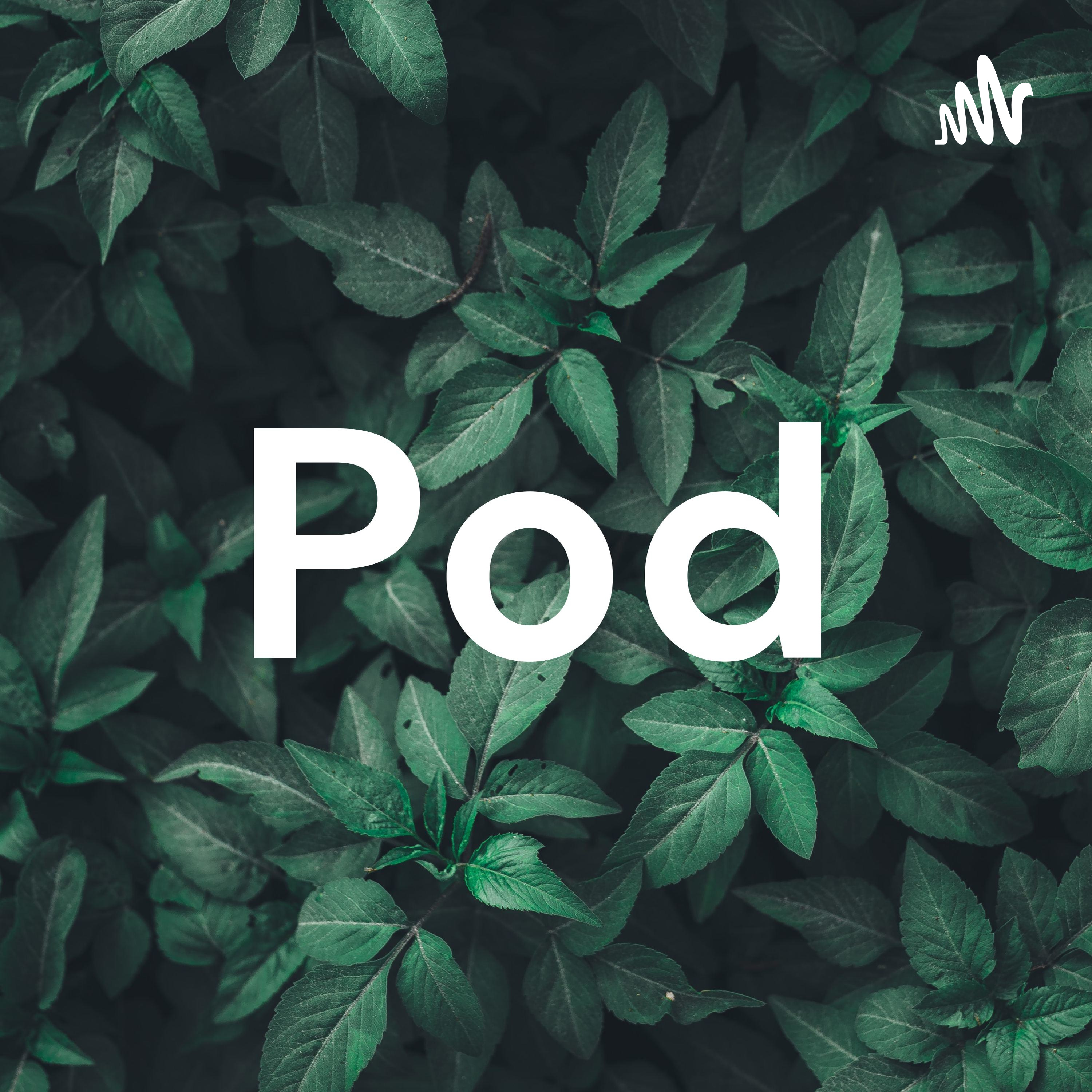 Pod