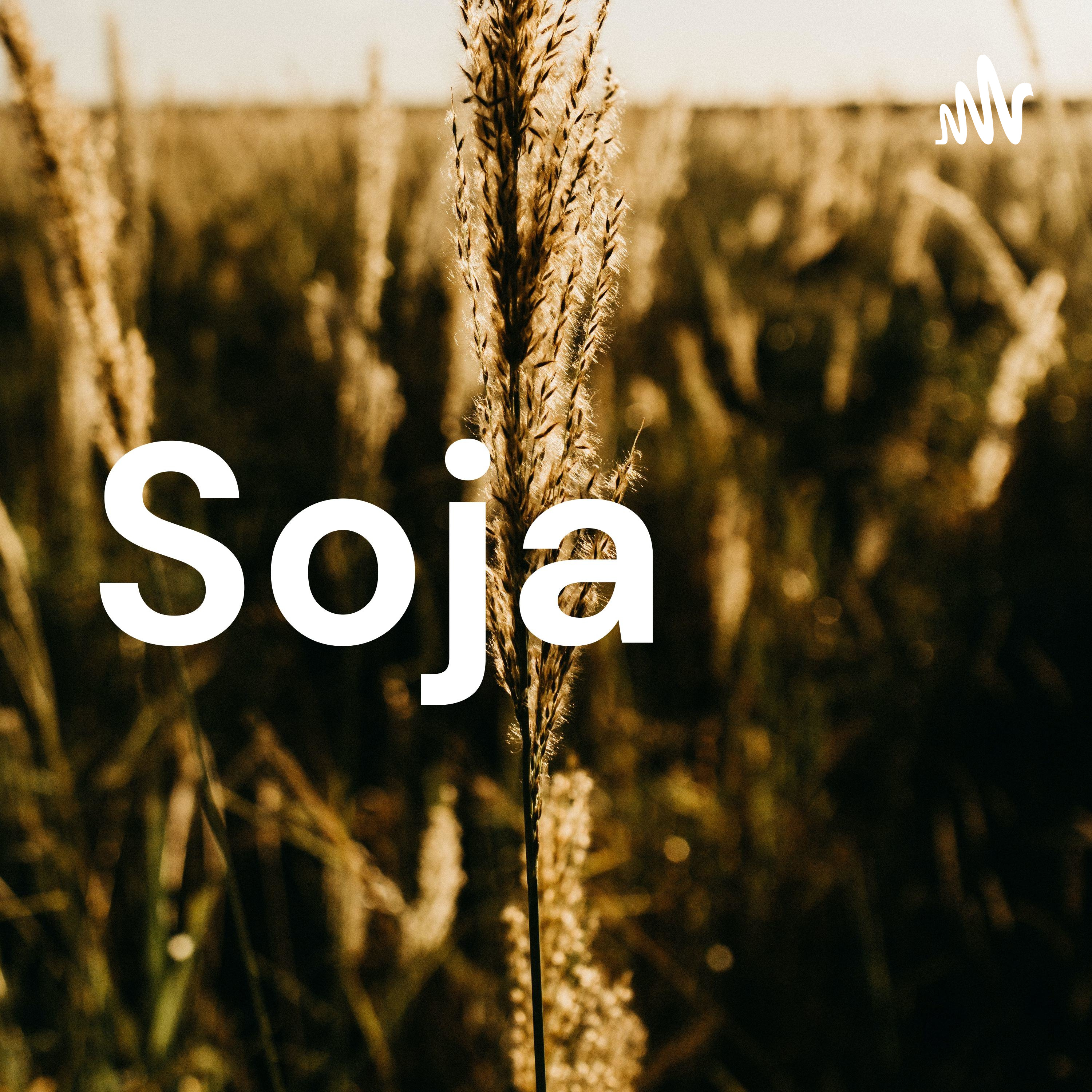 Soja 
