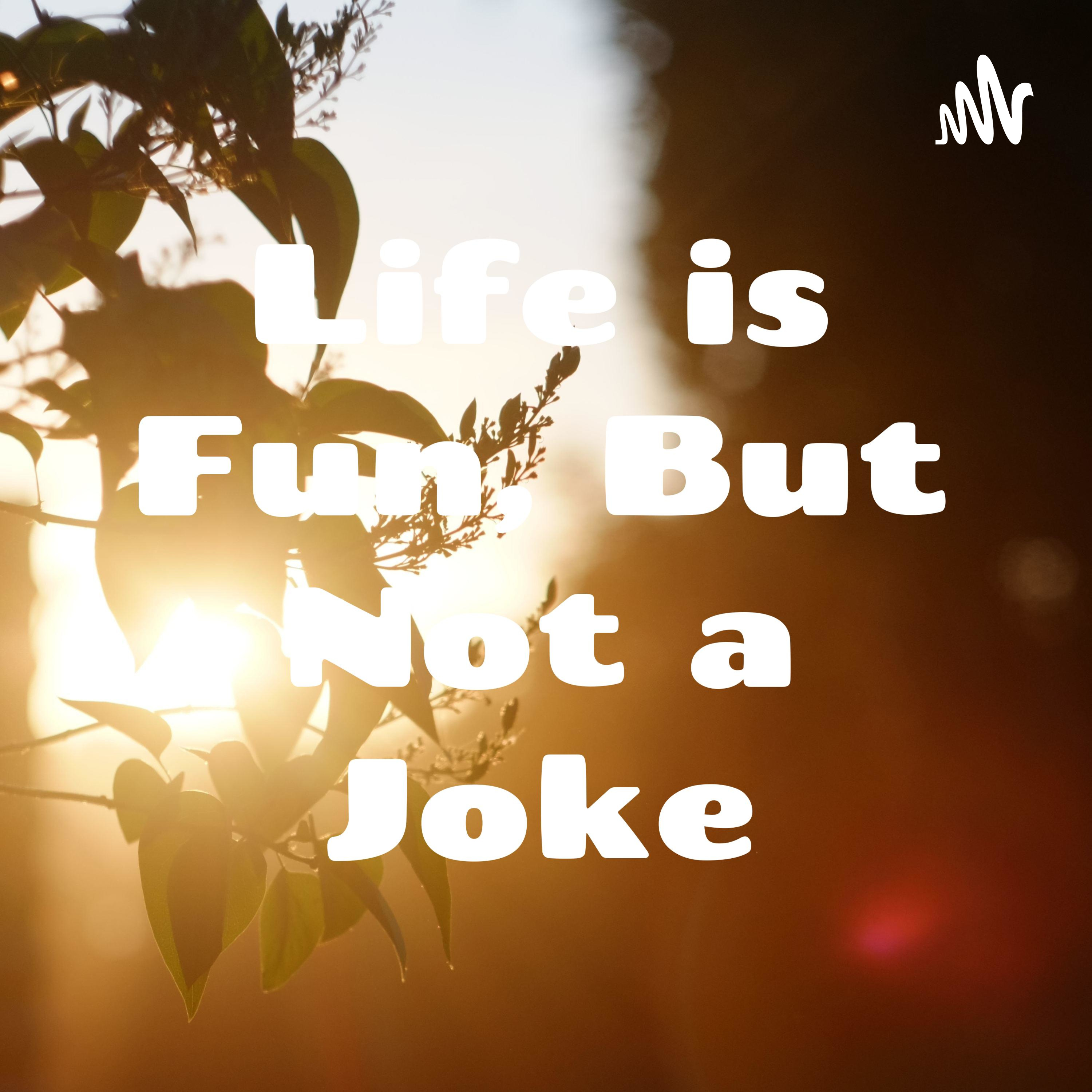 Life is Fun, But Not a Joke