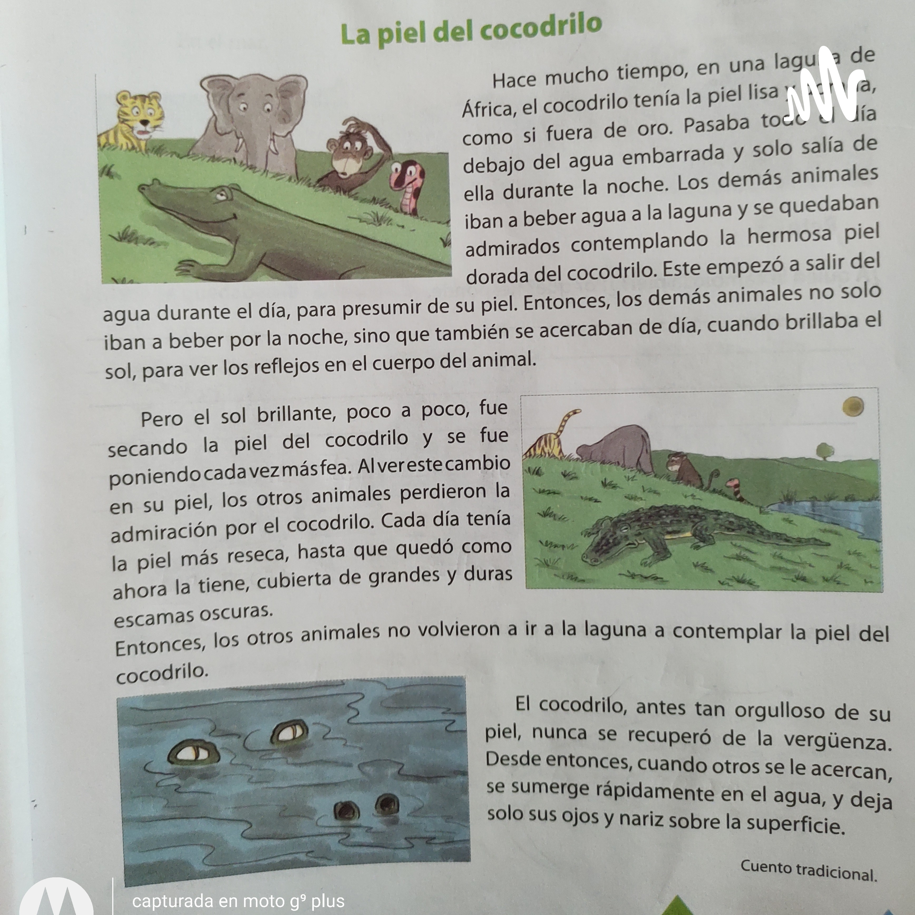 La Piel Del Cocodrilo podcast artwork