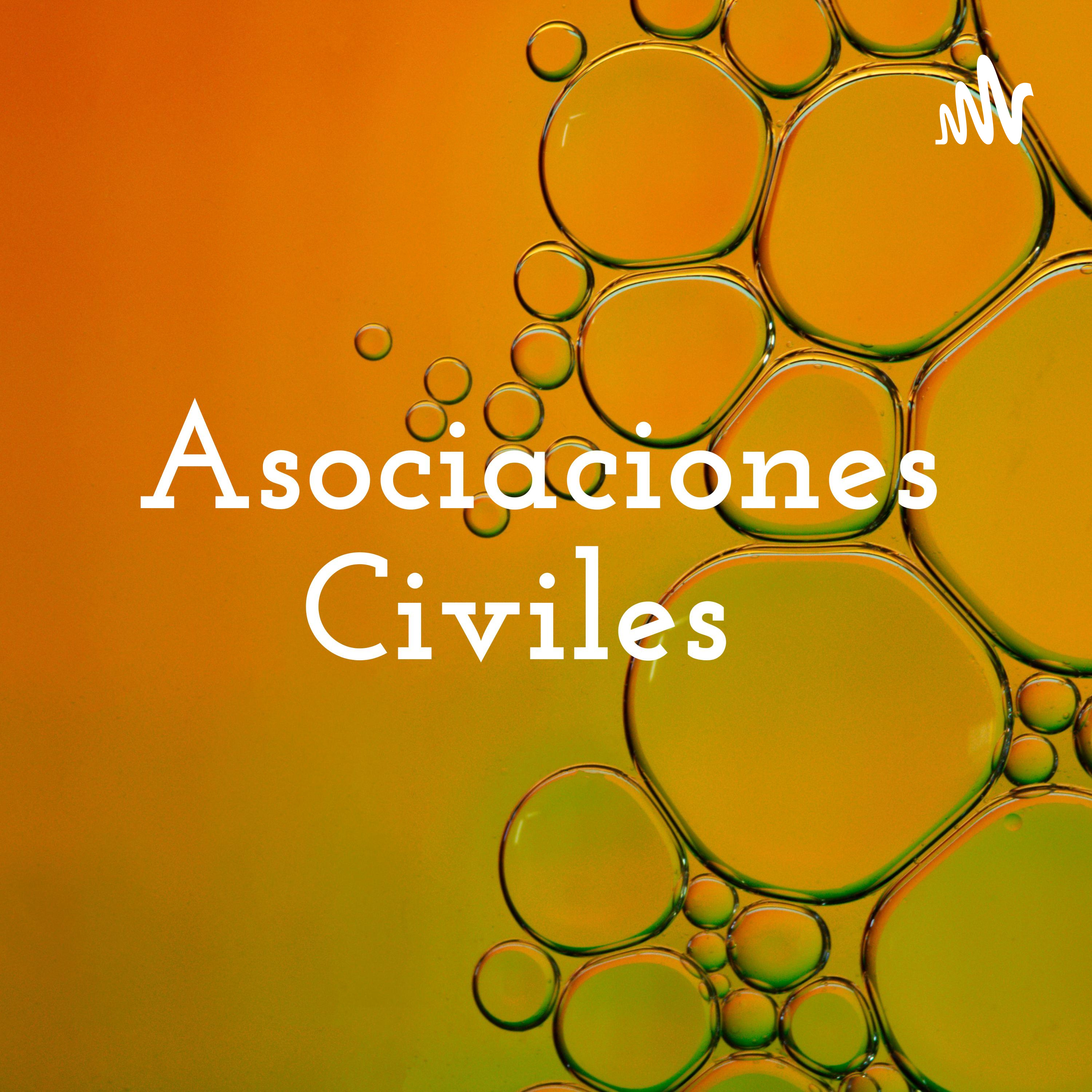 Asociaciones Civiles 