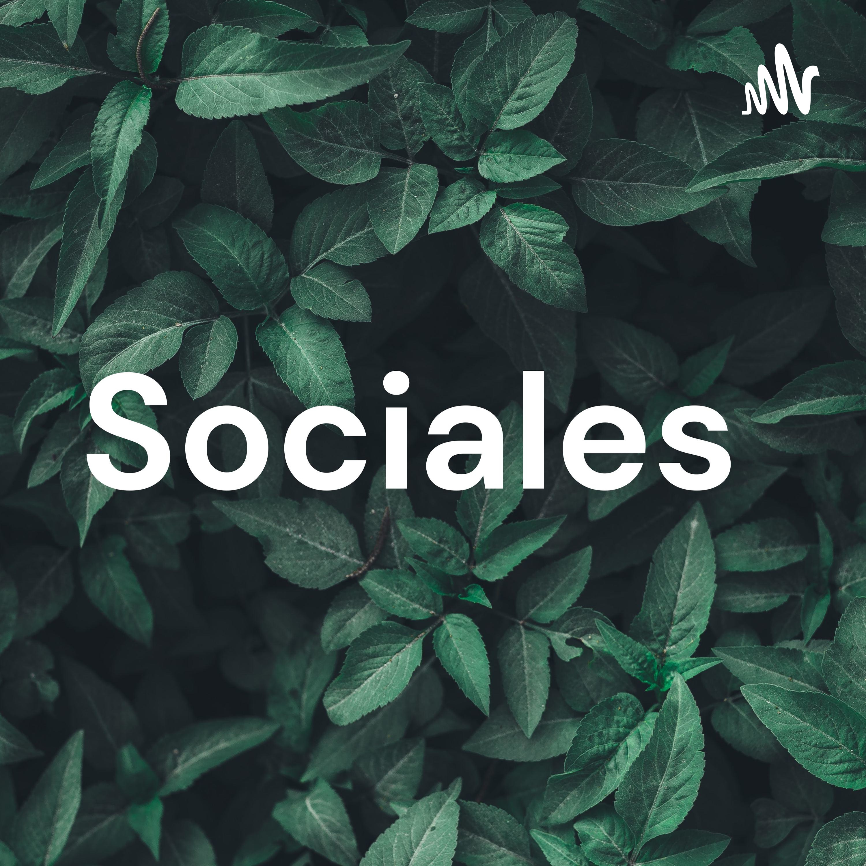 Sociales cover art