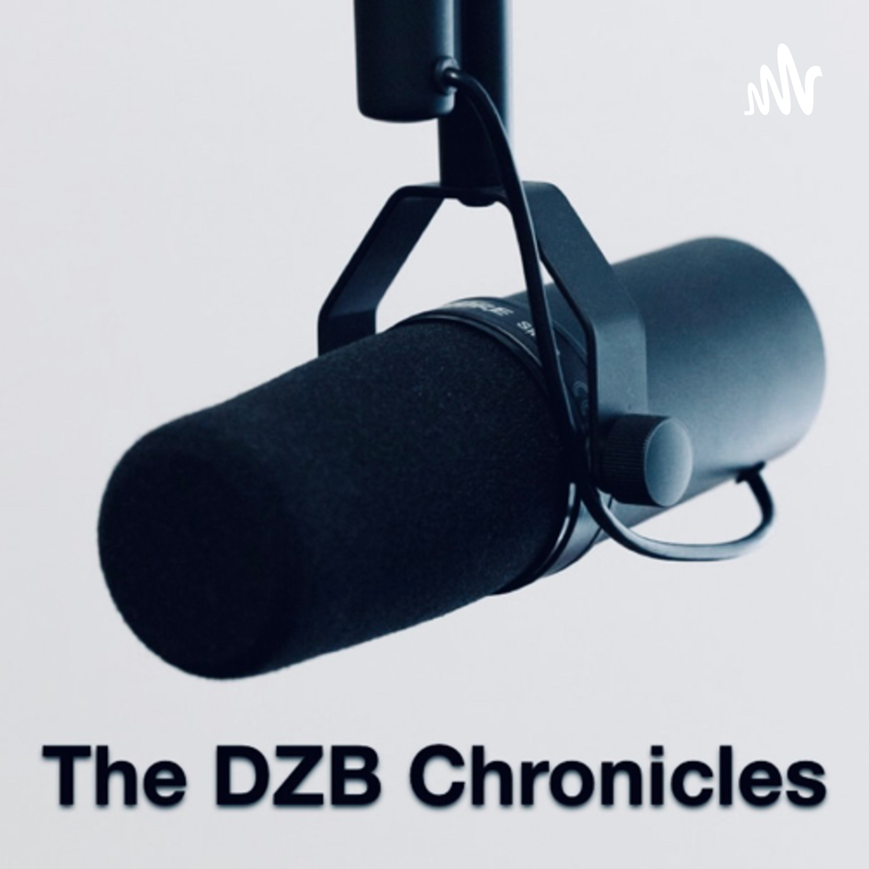 The DZB Chronicles The DZB Chronicles
