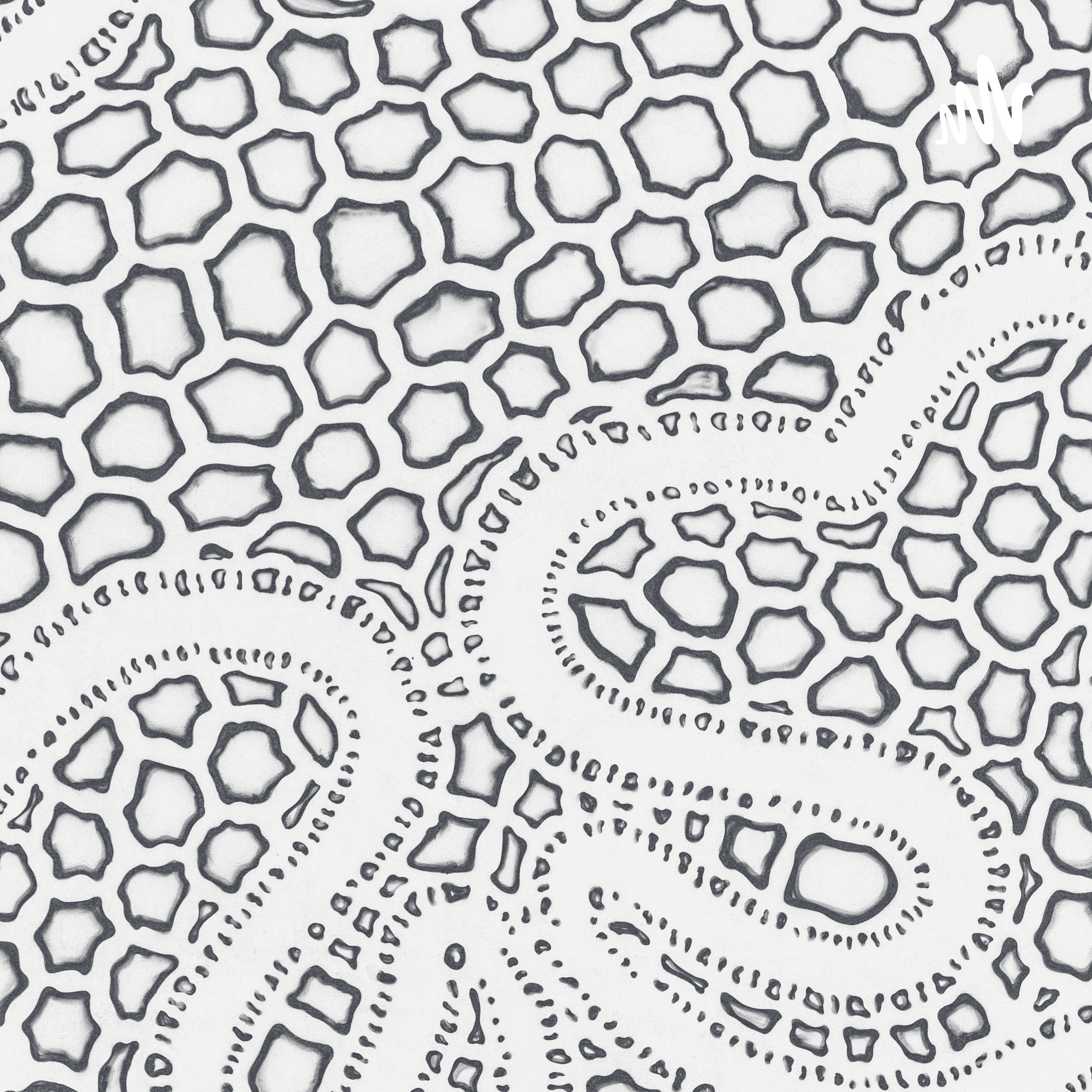 O Nascimento Da Filosofia