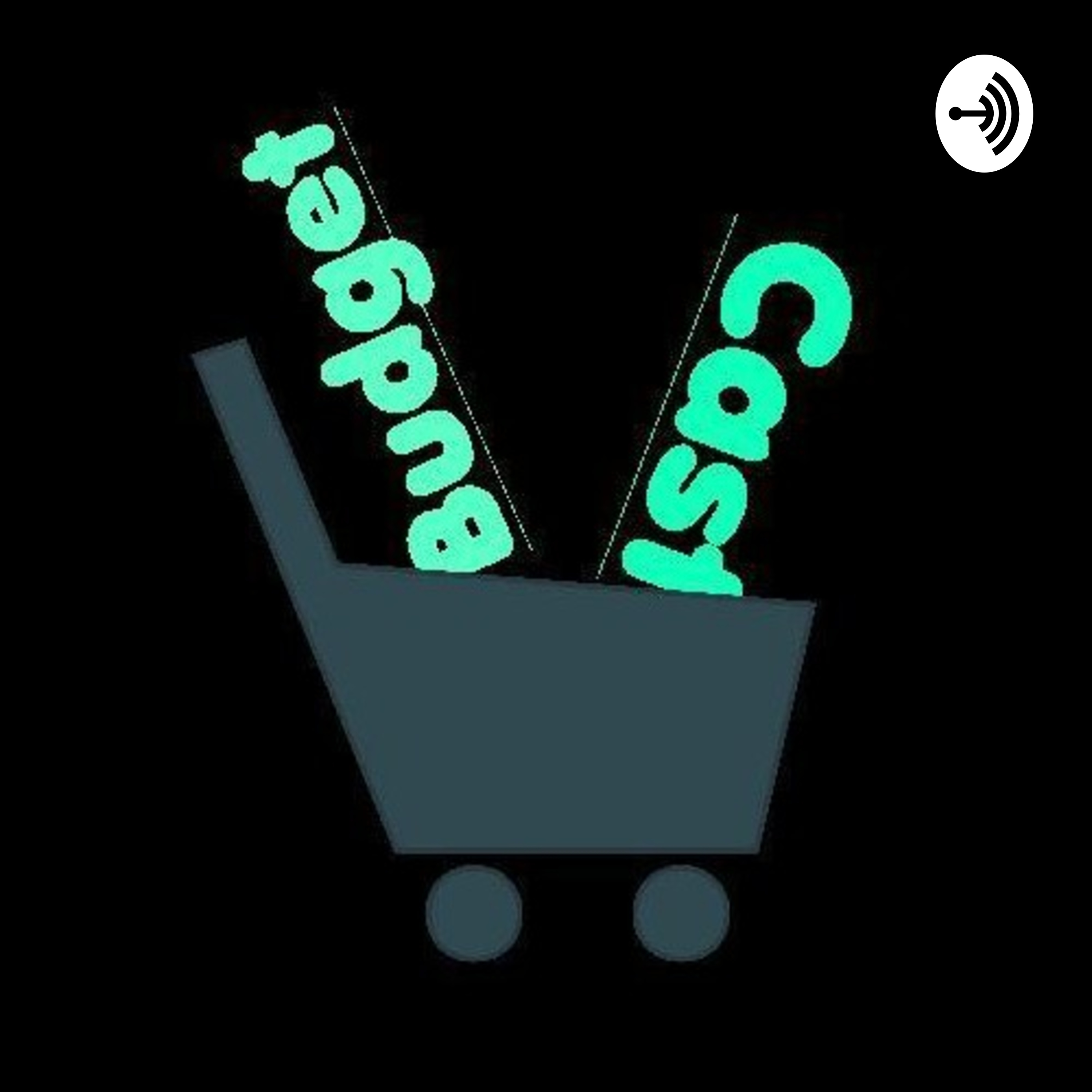 BudgetCast