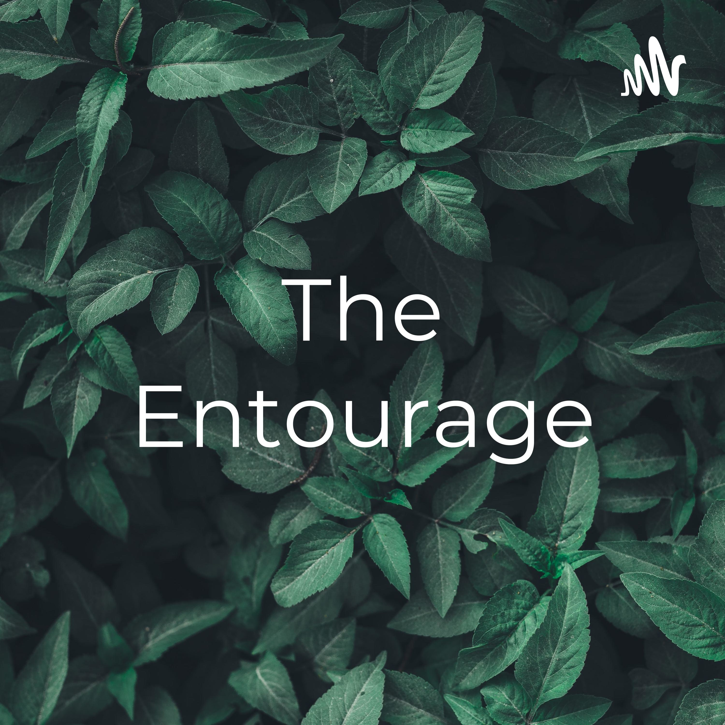Logo of the podcast The Entourage: A Vietnamese D&D Podcast Podcast The Entourage: A Vietnamese D&D Podcast