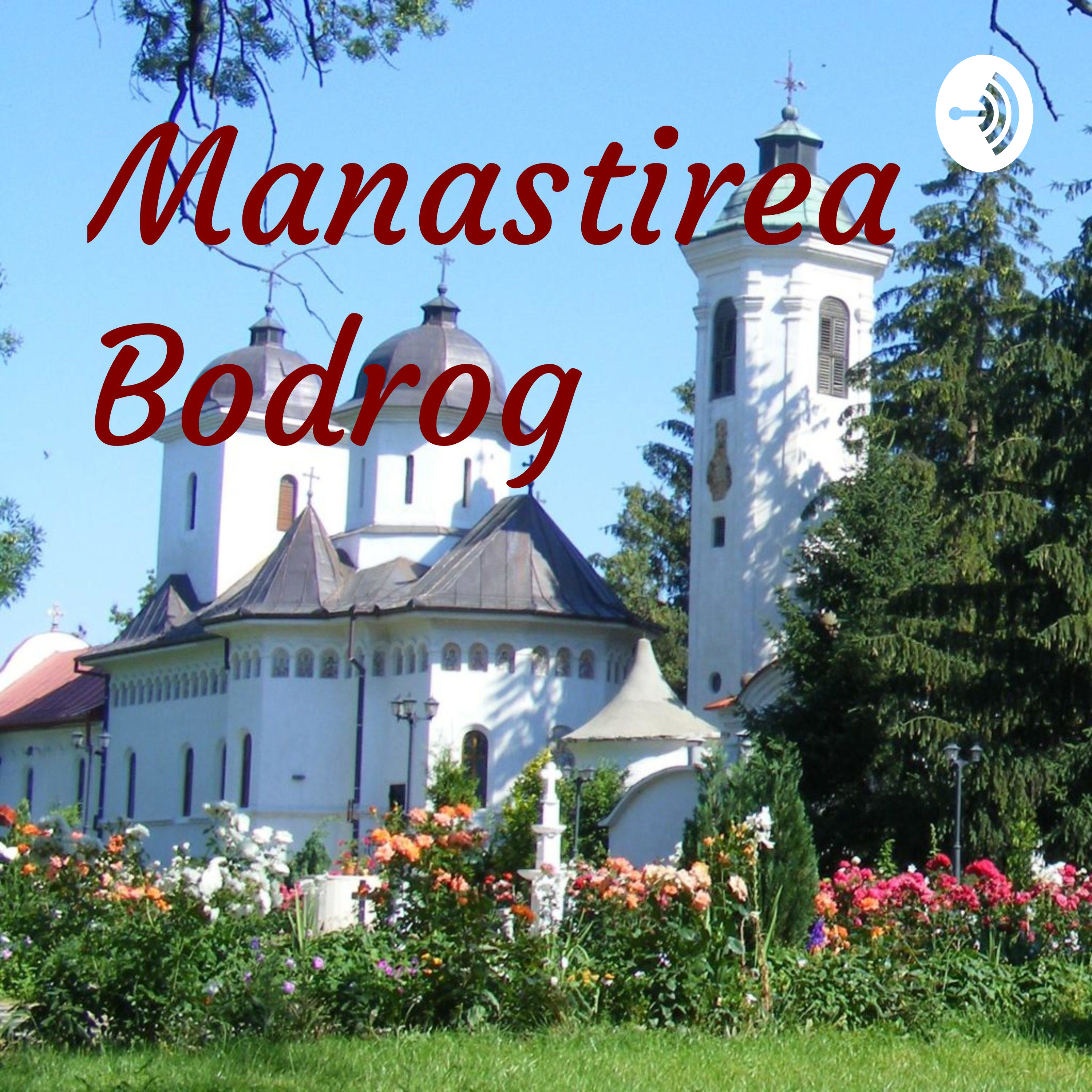 Mănăstirea Bodrog podcast artwork