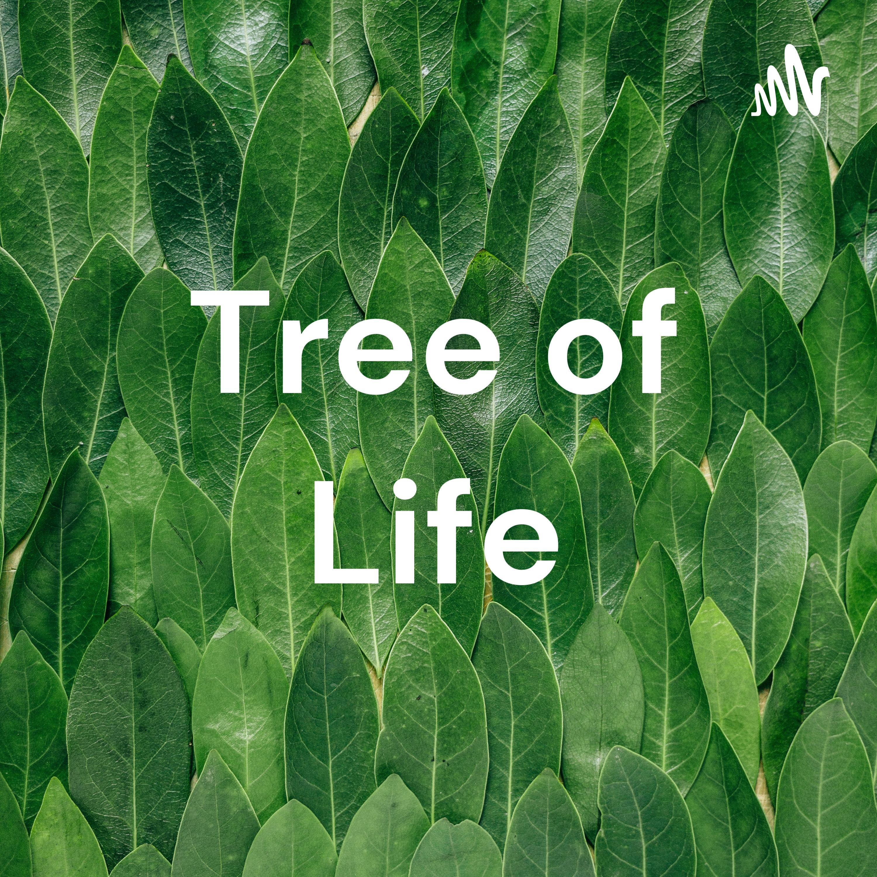 Tree of Life podcast artwork
